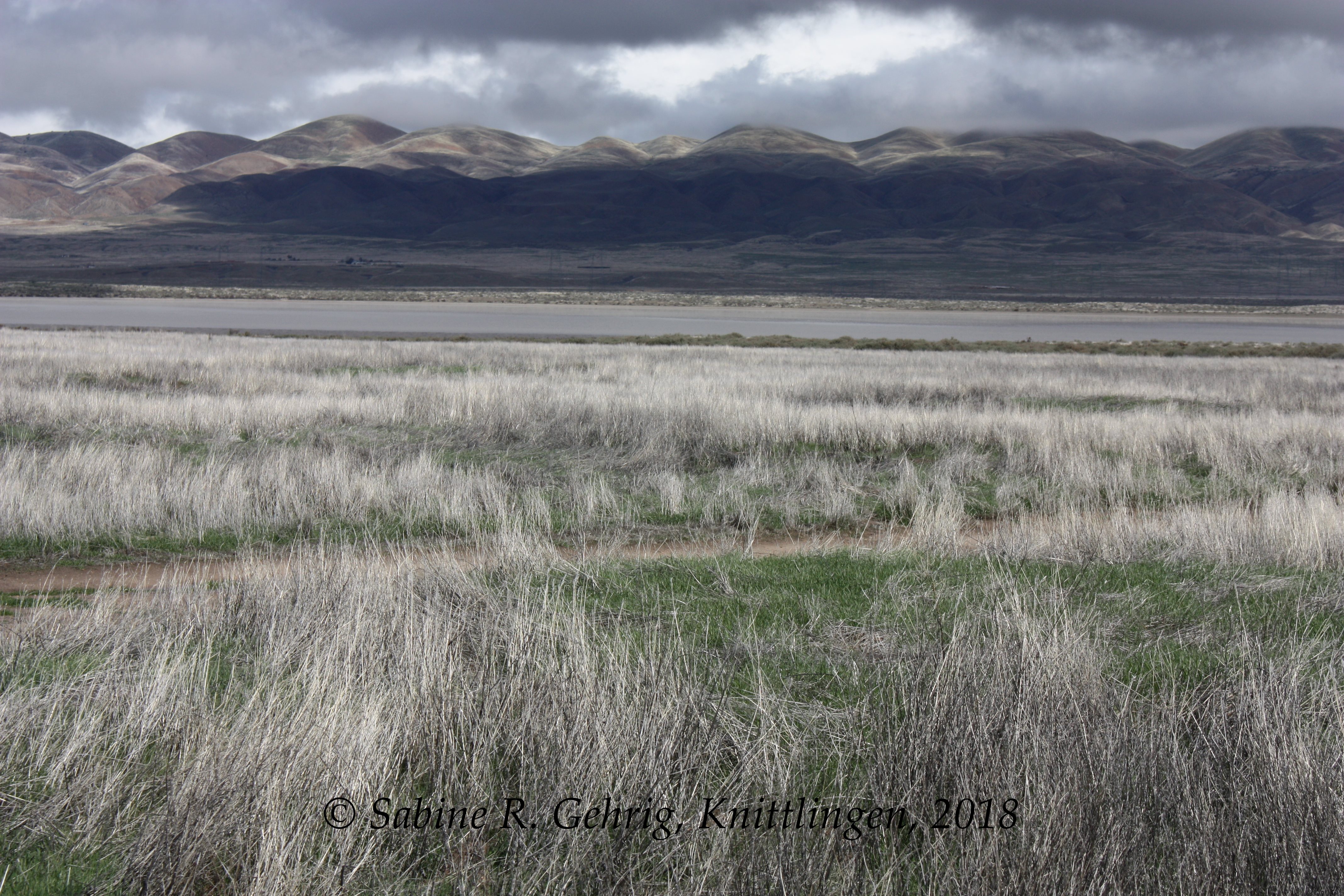 IMG_0091 - Carrizo Plain NM - Blick über Soda Lake zur Tremblor Range