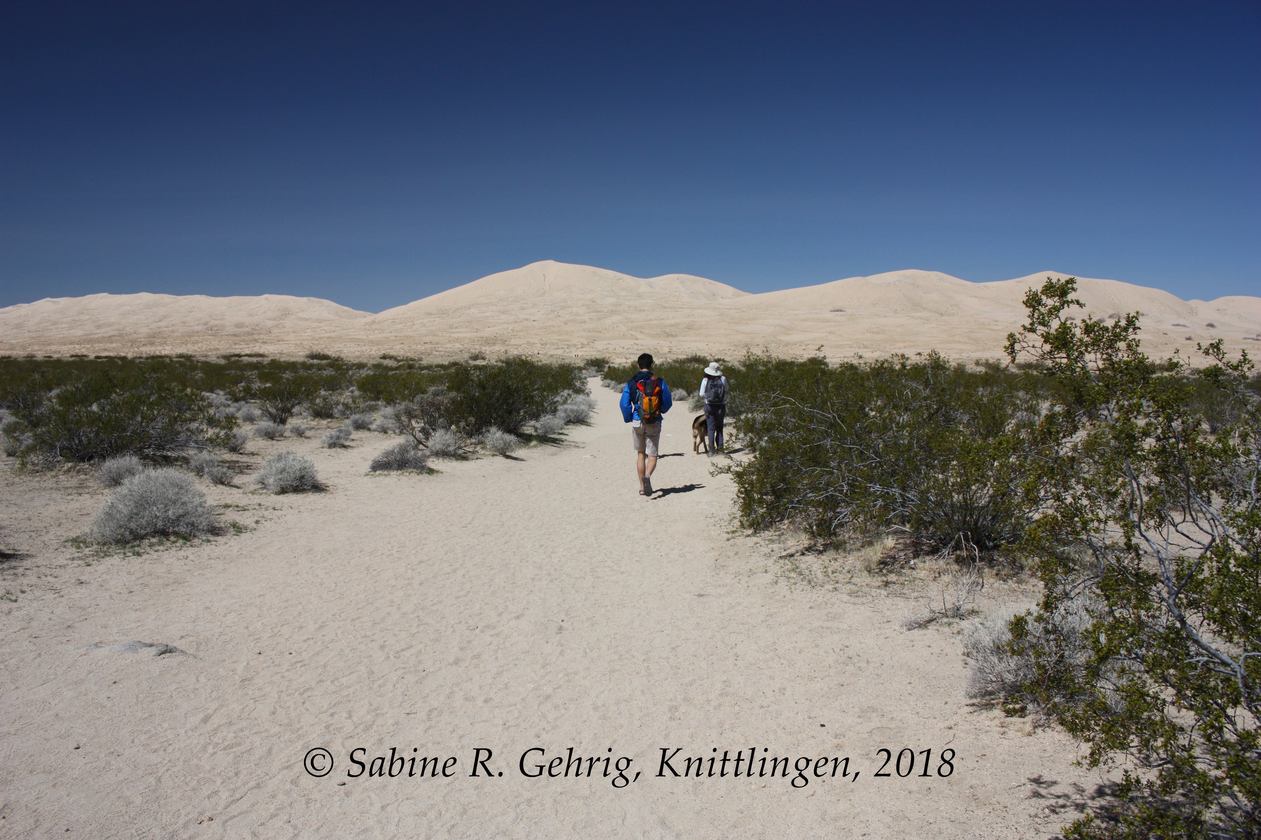 IMG_0306-Mojave NPres - Kelso Dunes