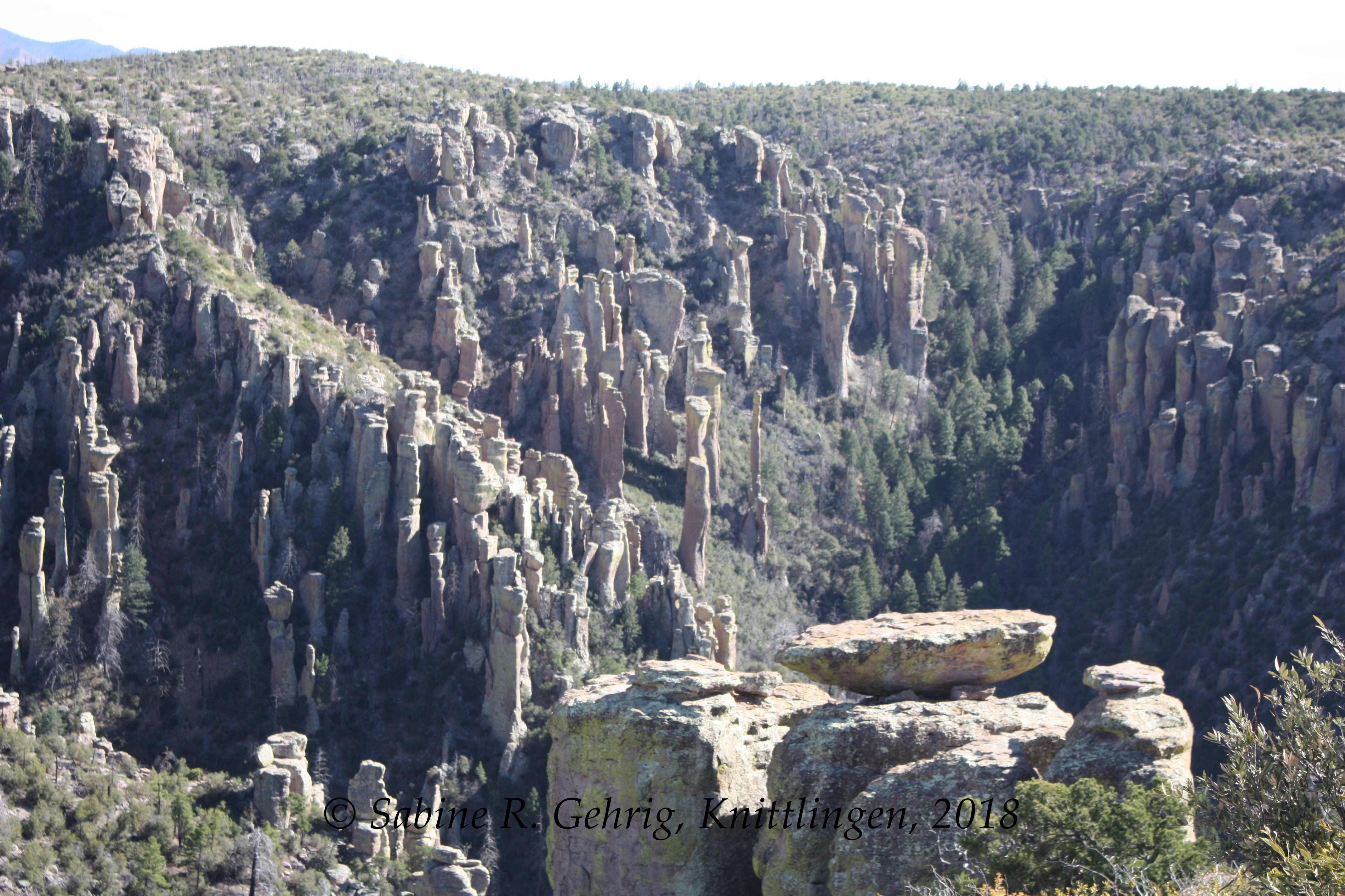 IMG_0966-Chiricahua NM - Massai Point - versch. Formen zu sehen - balanced rock-column-pinnacle