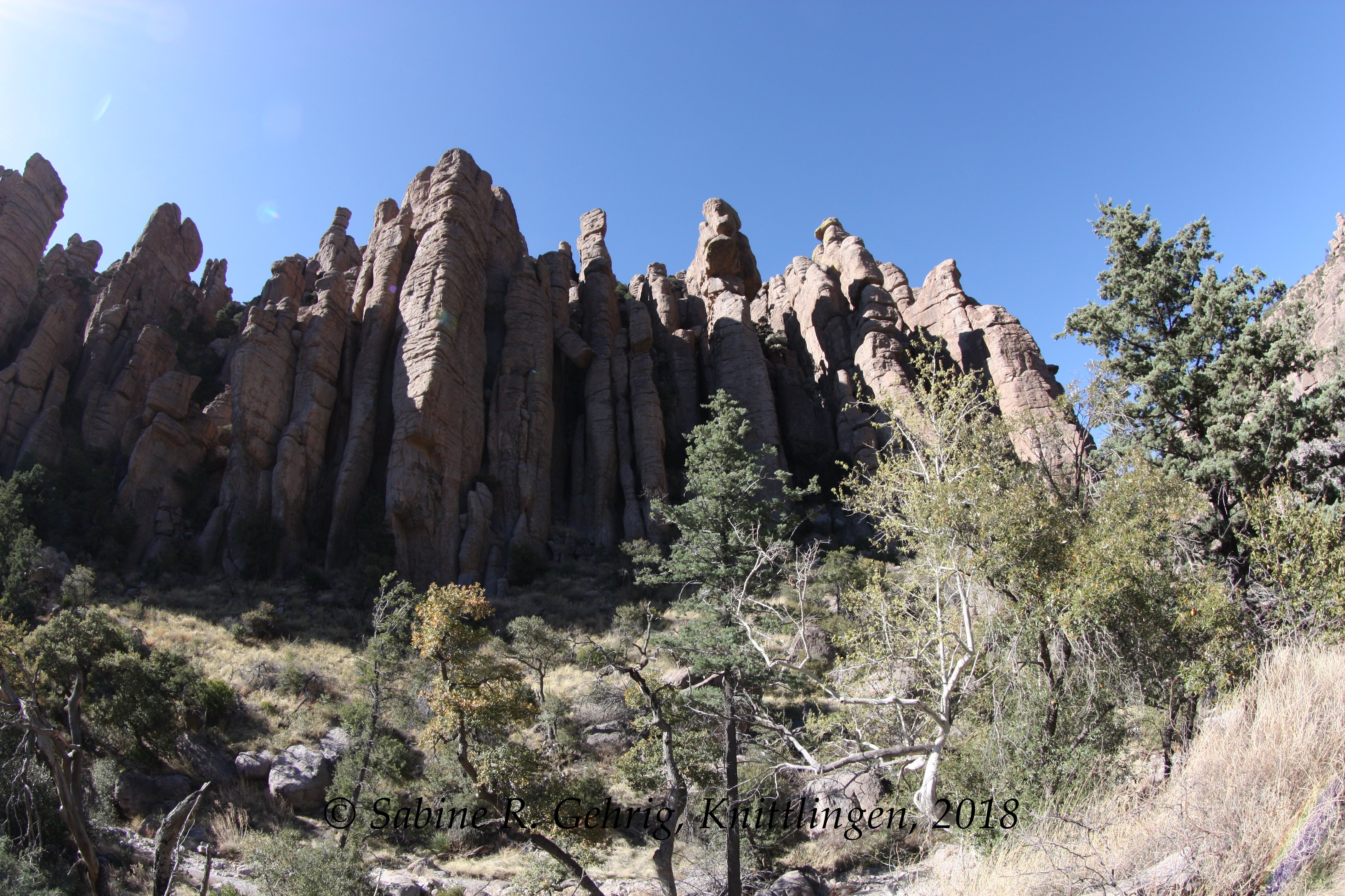 IMG_0969-Chiricahua NM - Organ Pipe Formation - Gesamtansicht