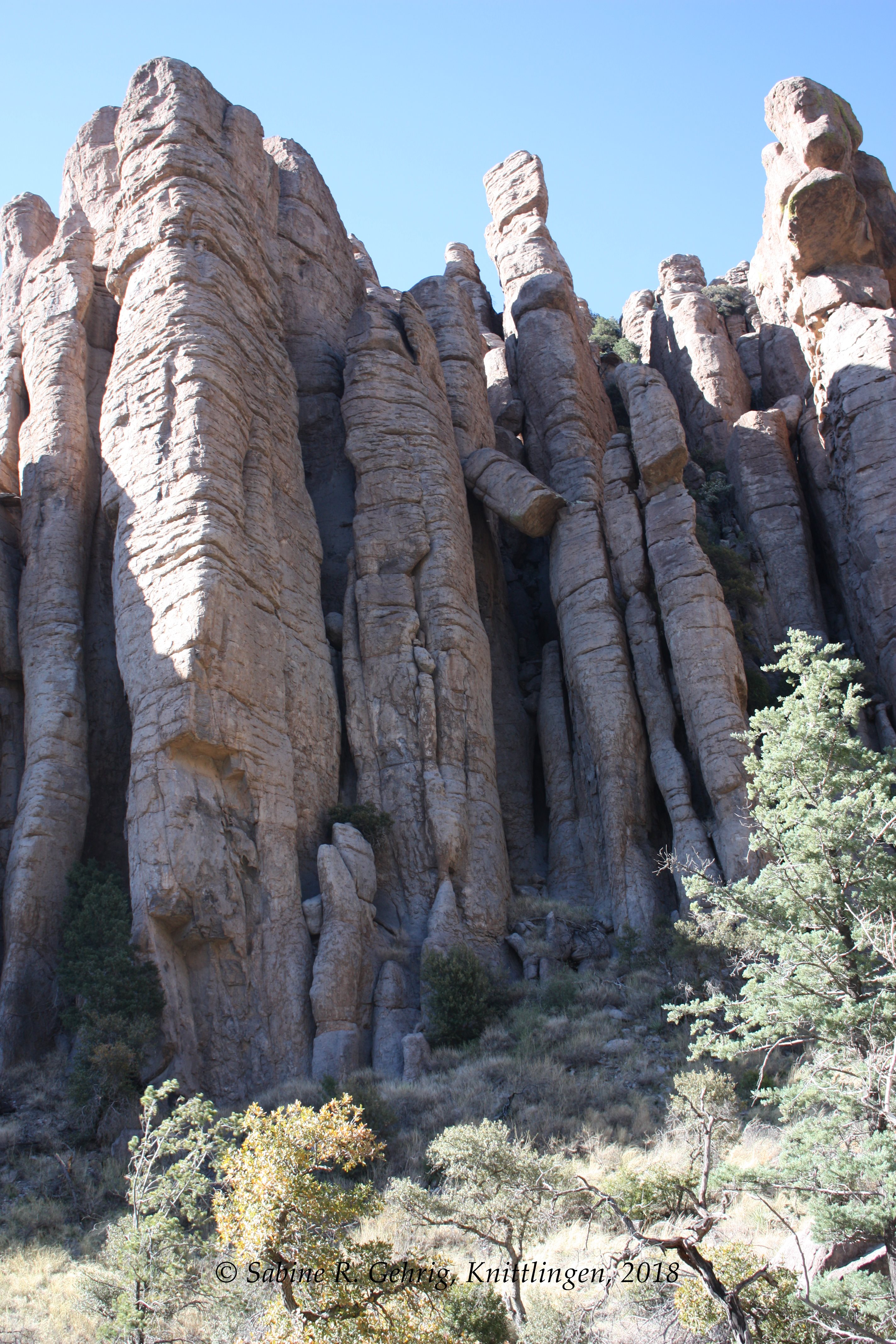 IMG_0974-Chiricahua NM - Organ Pipe Formation - Detail