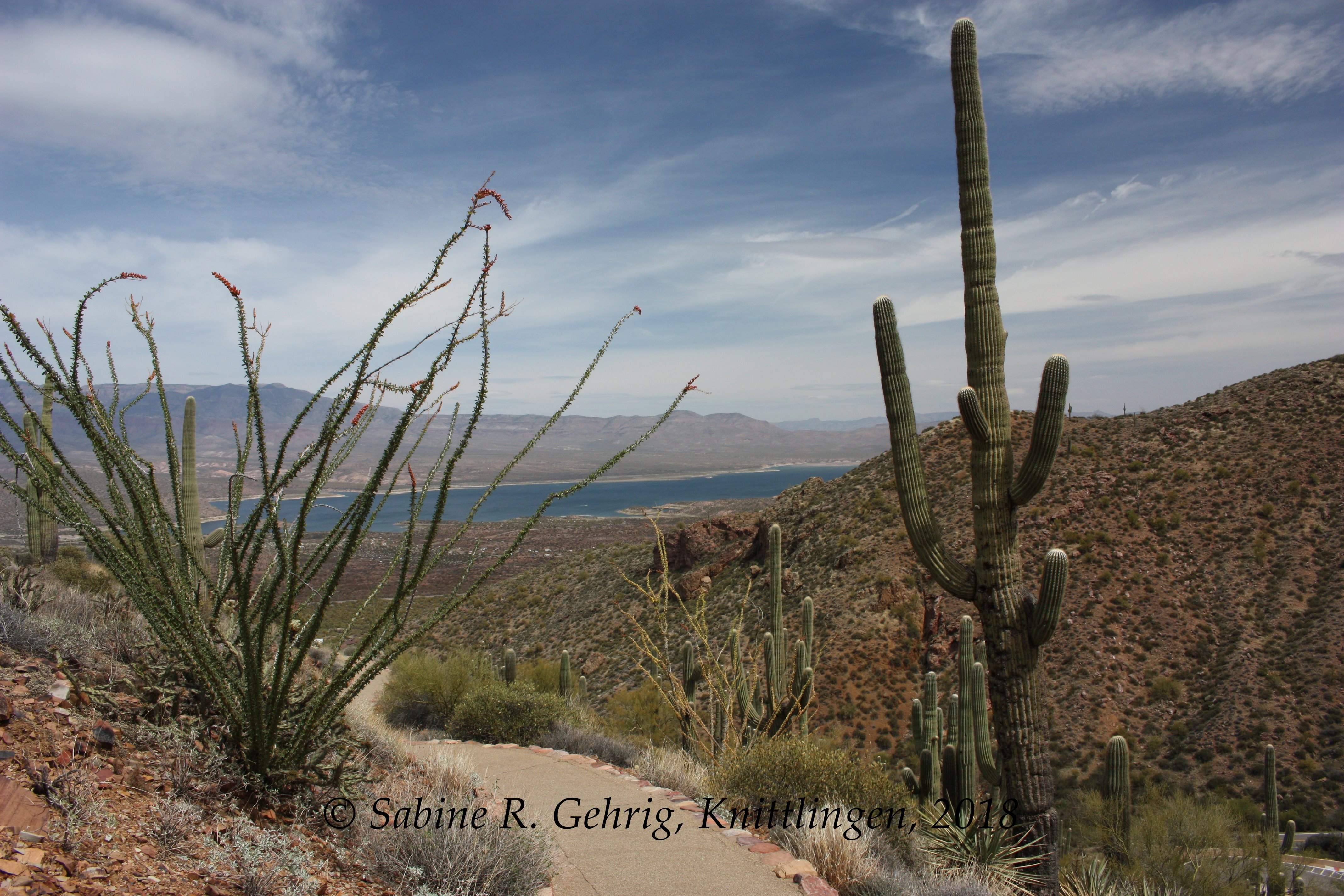 IMG_1088-Tonto NM - Aufstieg - Blick auf L.Roosevelt
