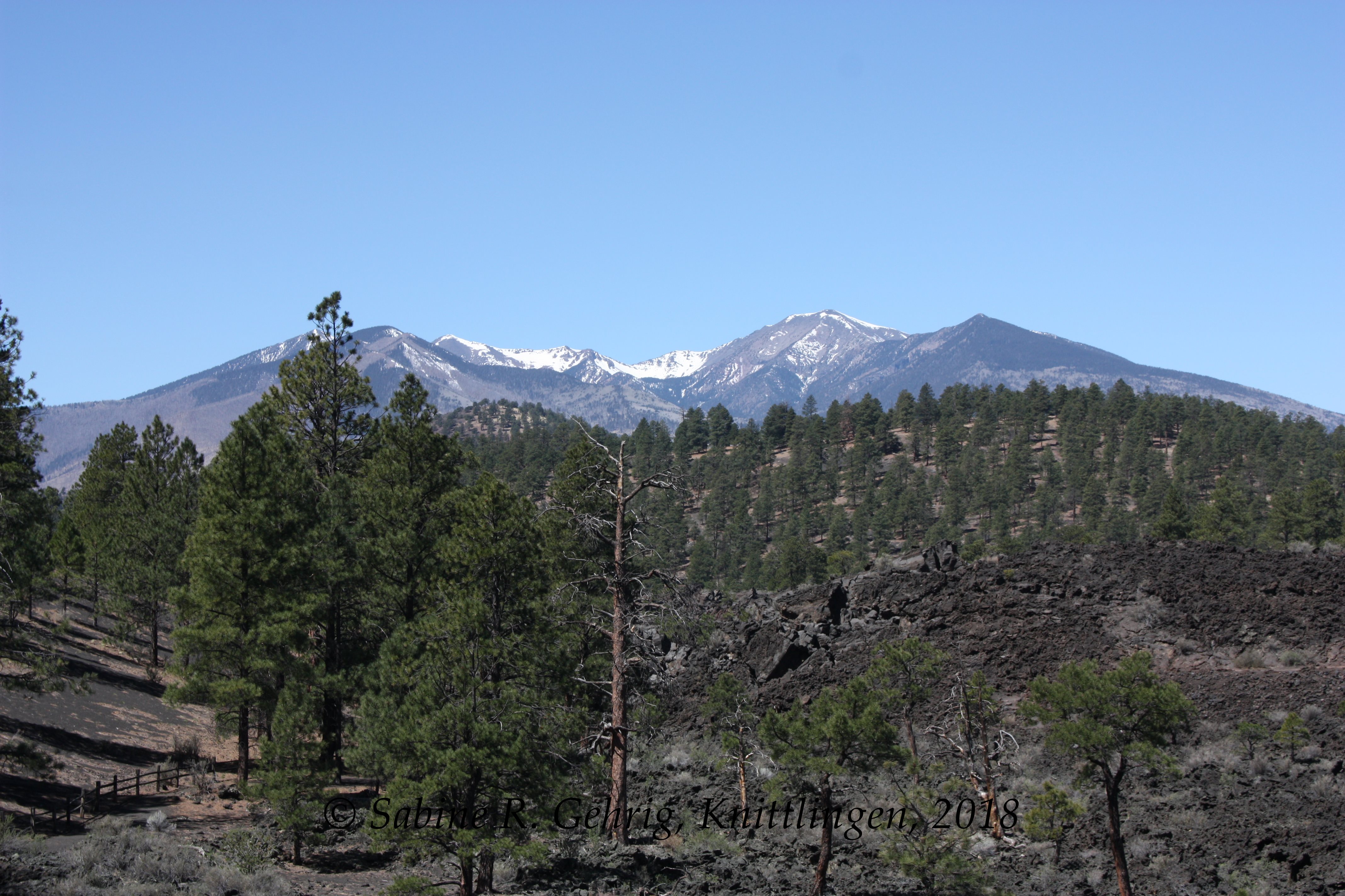 IMG_1922-Sunset Crater NM - Lava Flow Trail - SFO Peaks
