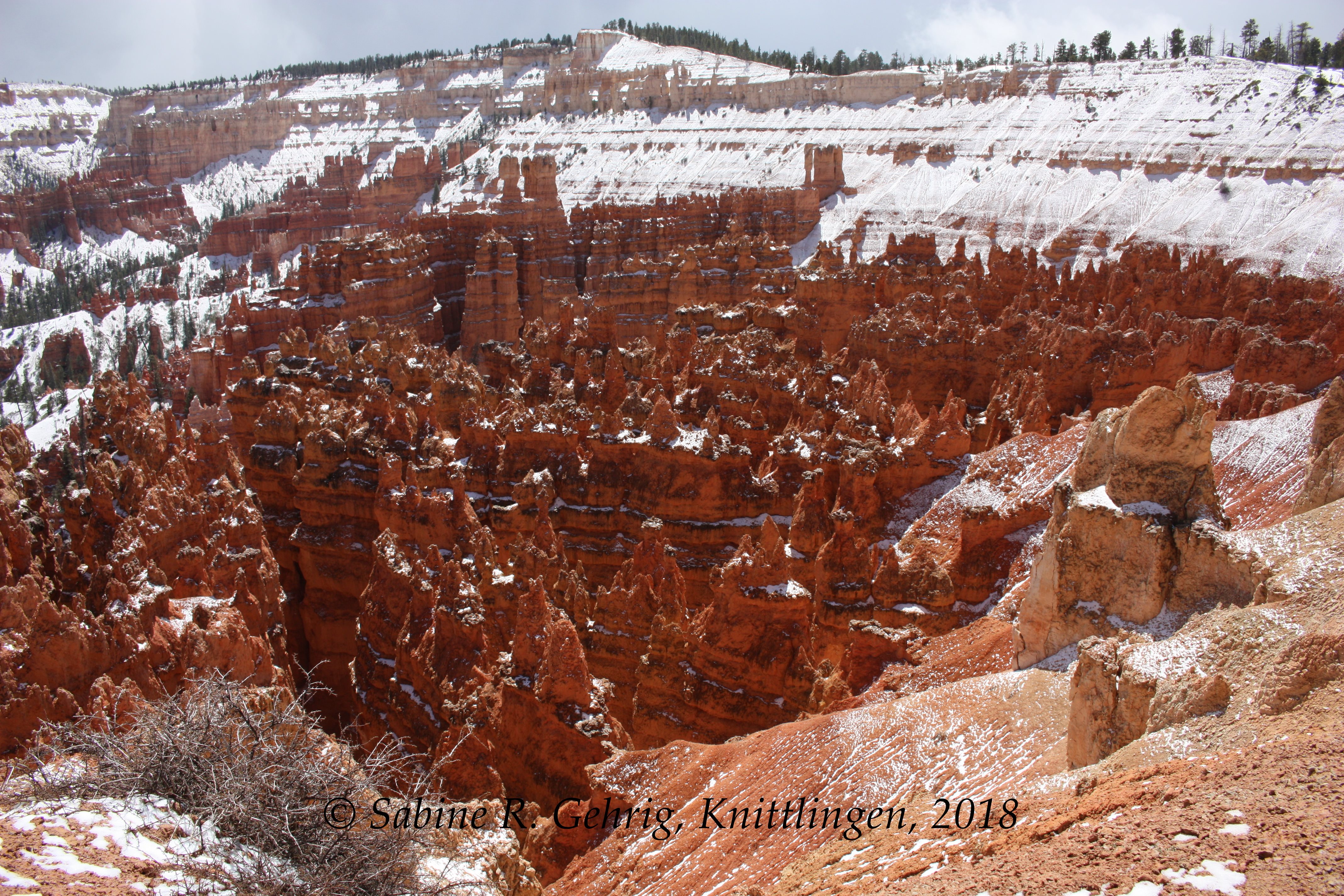 IMG_2313-Bryce Canyon NP - Sunset Pt. im Schnee - Silent City