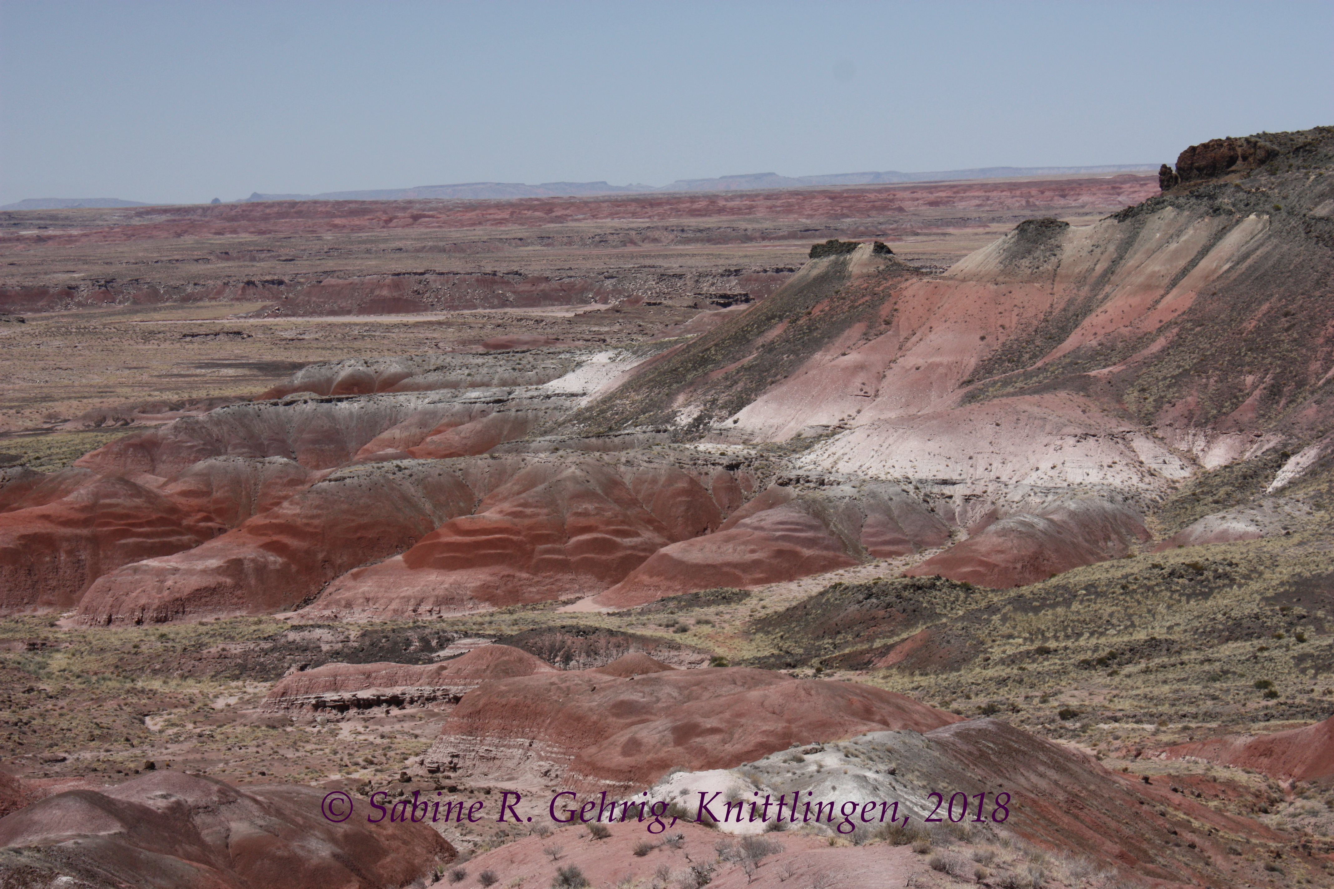 IMG_1218-Petrified Forest NP - Painted Desert