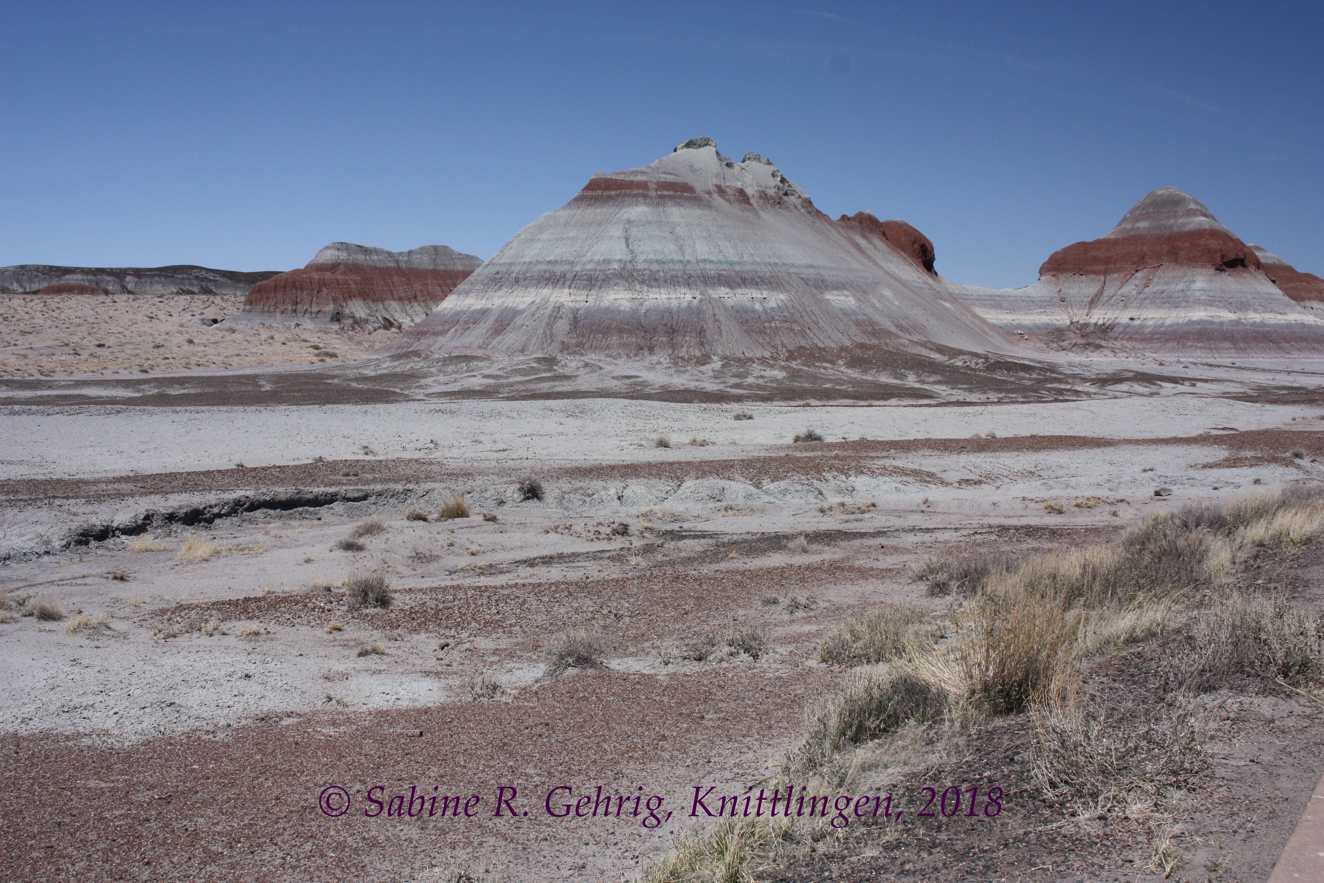 IMG_1255-Petrified Forest NP - The Teepees