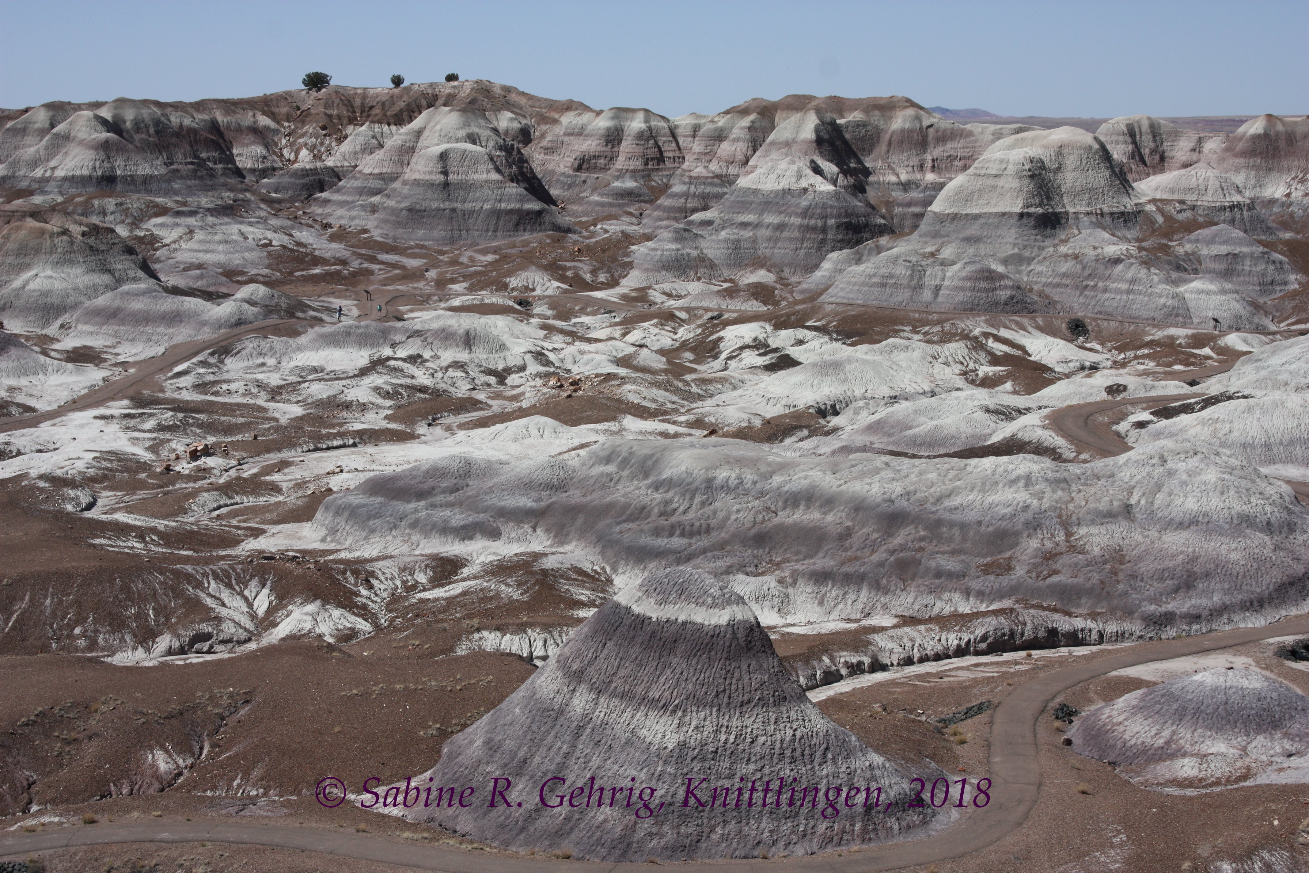 IMG_1274-Petrified Forest NP - Blue Mesa