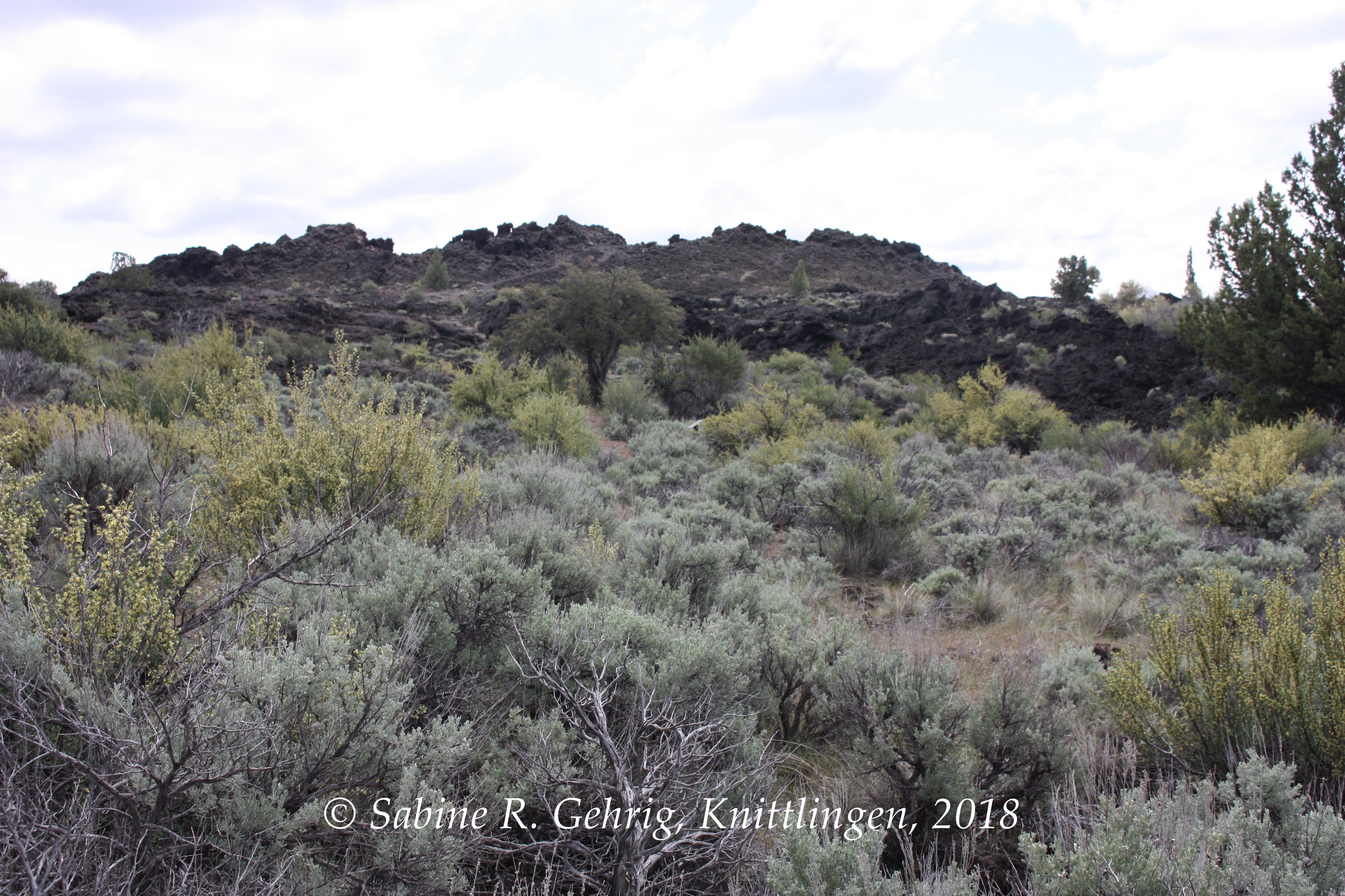 IMG_3860-Lava Beds NM - Black Crater Trail - Blick auf Krater