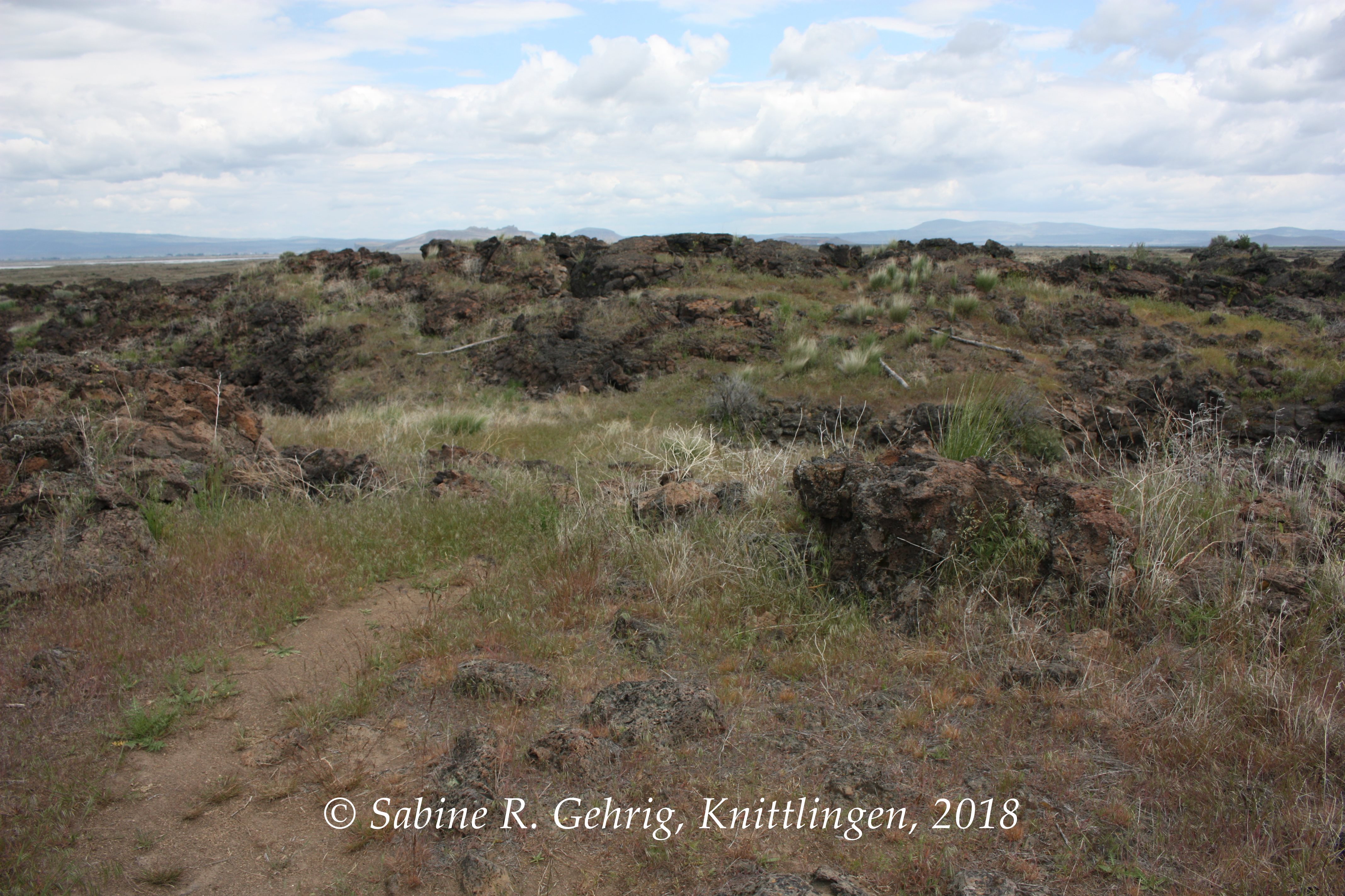 IMG_8088-Lava Beds NM - Cpt. Jacks Stronghold Trail - Cpt. Jacks Command Post - fern
