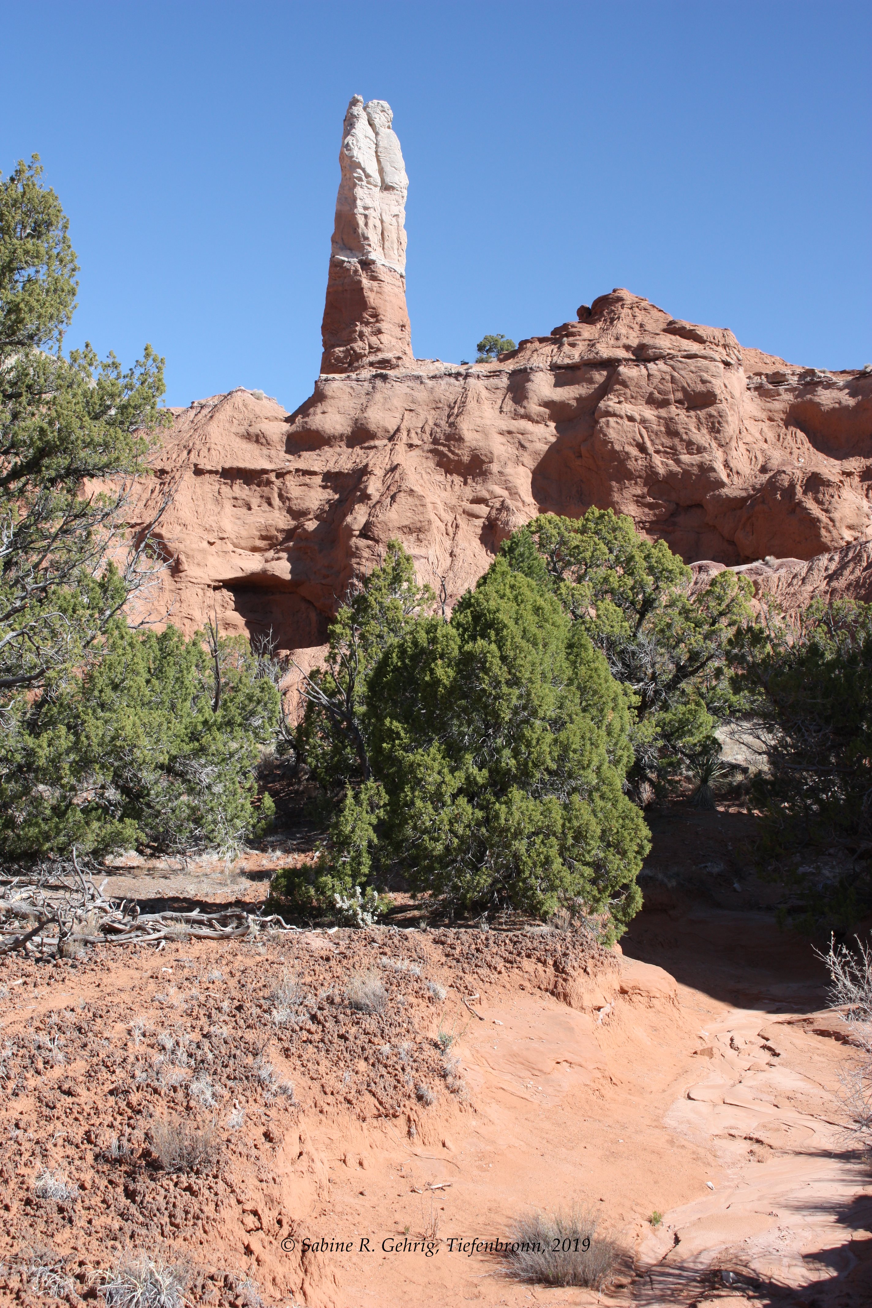 IMG_2400-Kodachrome Basin SP - Nature Trail - markante Felsnadel