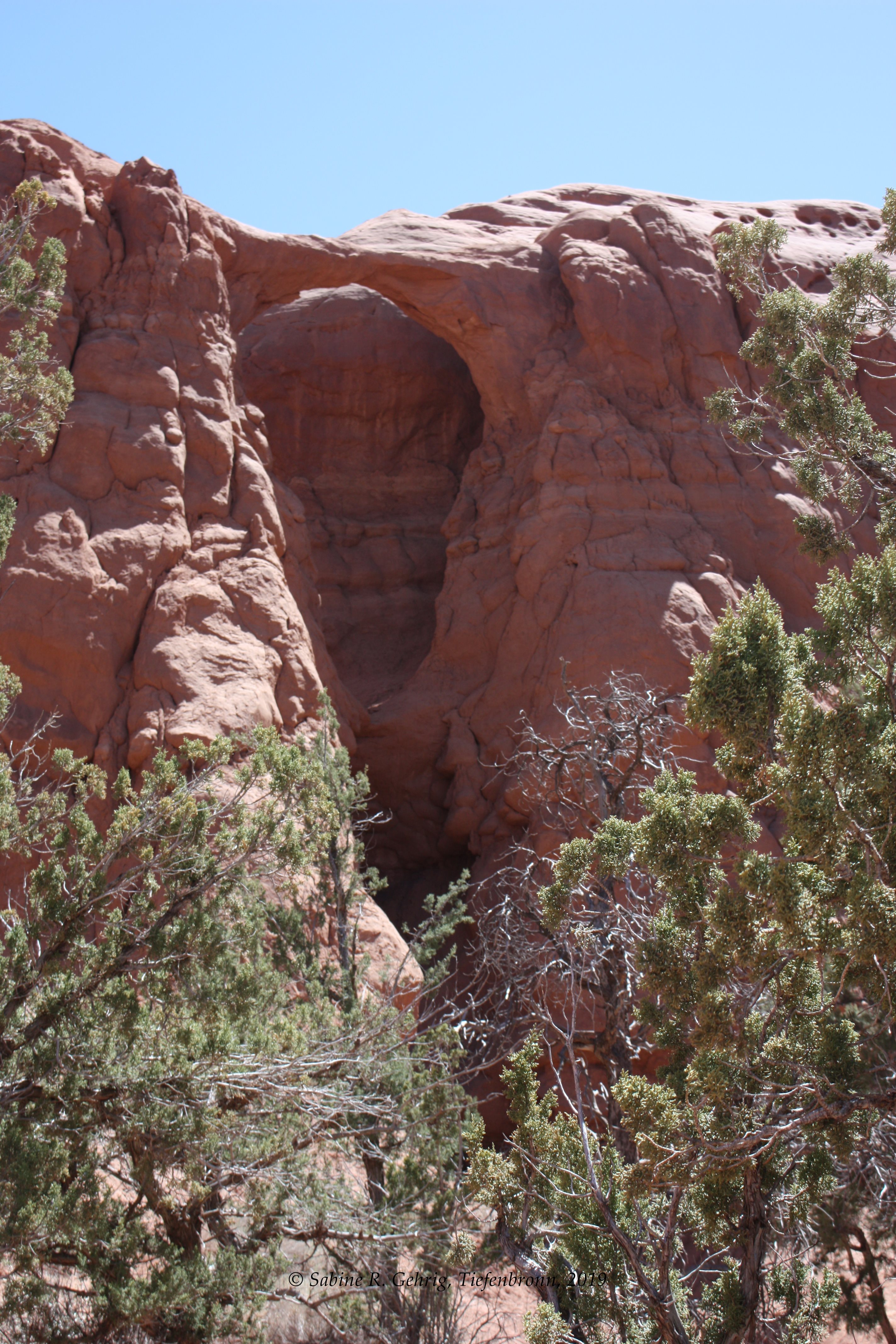 IMG_2518-Kodachrome Basin SP - Shakespeare Arch Trail - Shakespeare Arch nah - Bäume