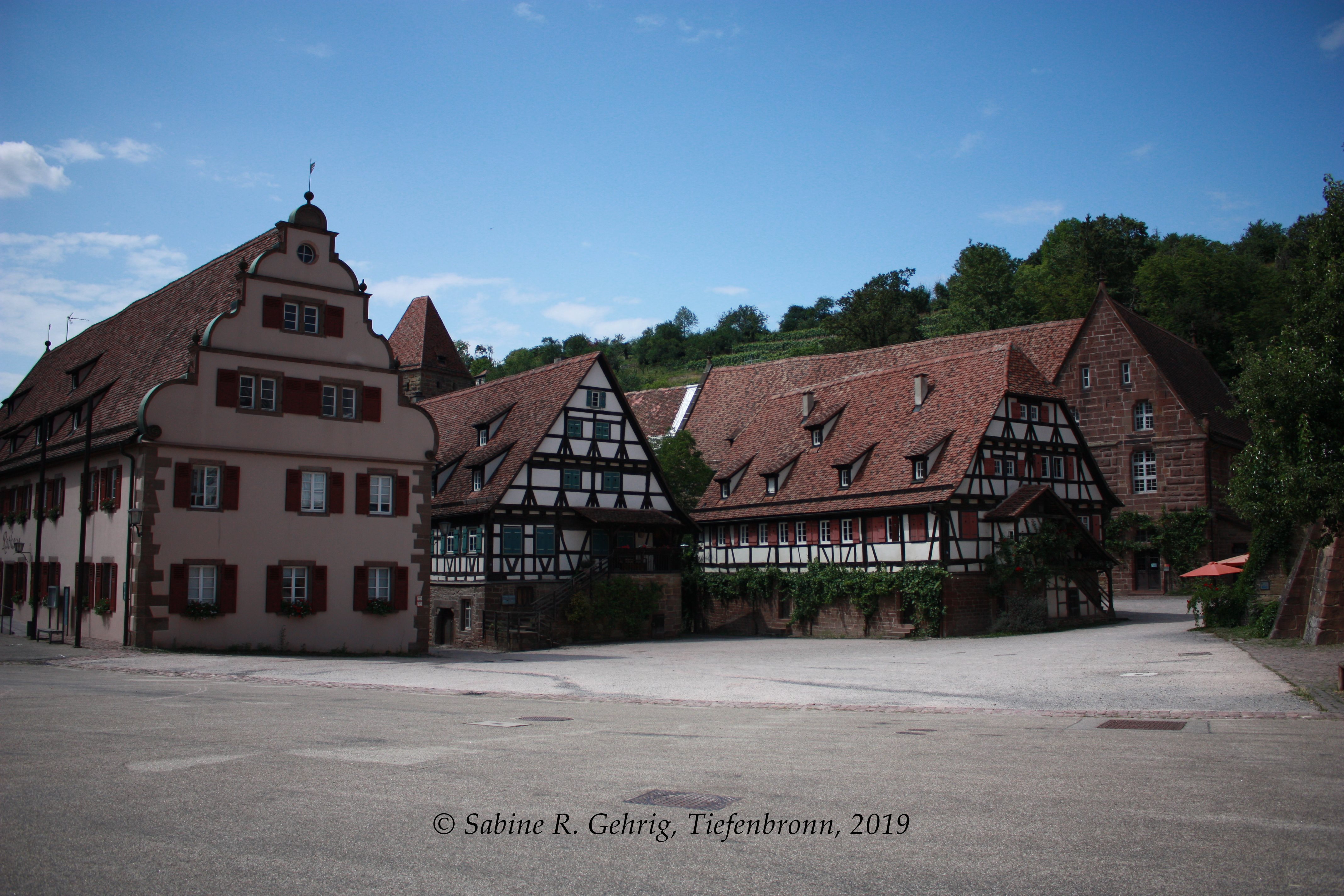IMG_9473-Kloster Maulbronn 08-19 - li.n.re. Marstall, RAthaus, Haberkasten, Whg. Pfistermeister