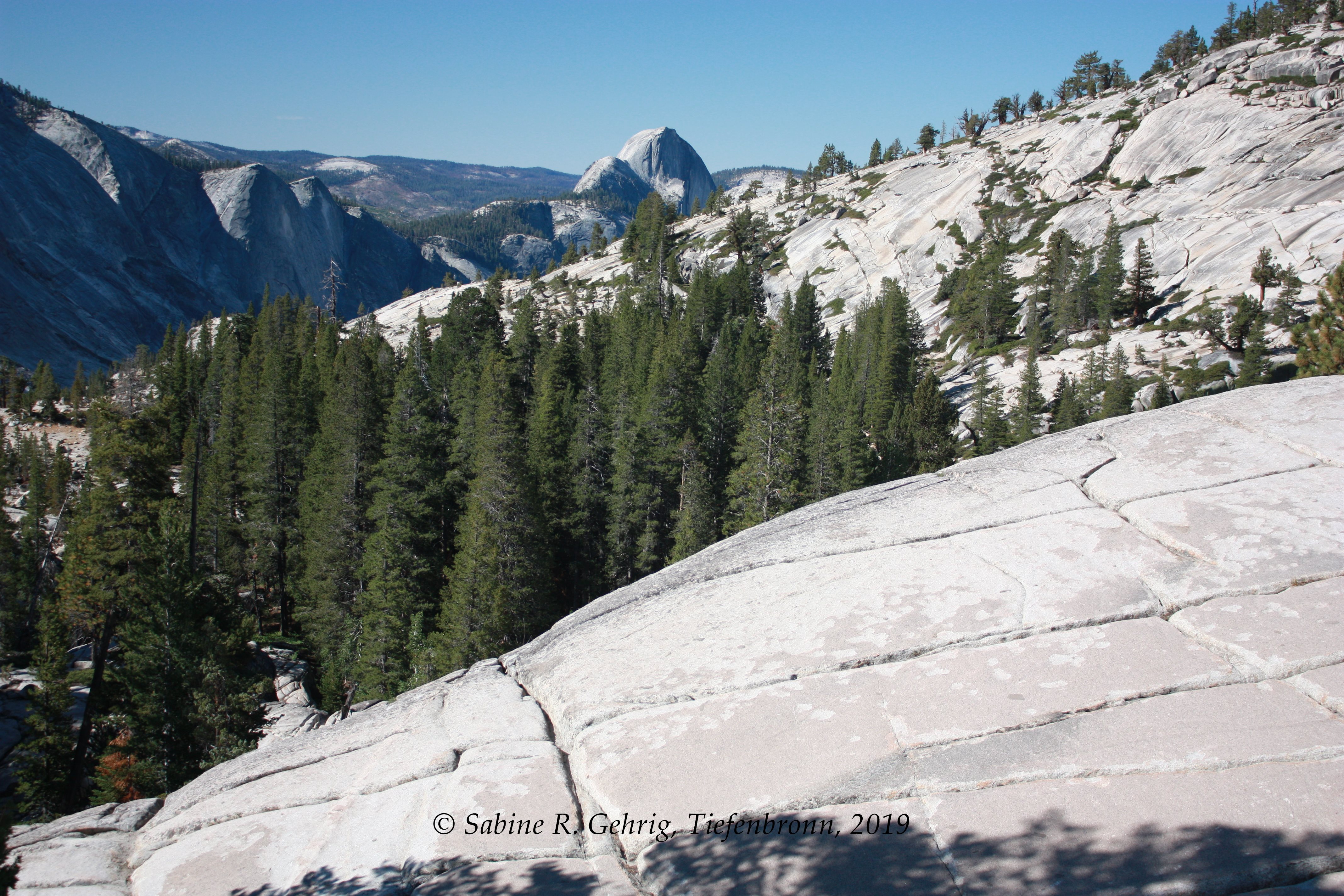 IMG_0115-Yosemite NP - Olmsted Point - Blick auf Half Dome