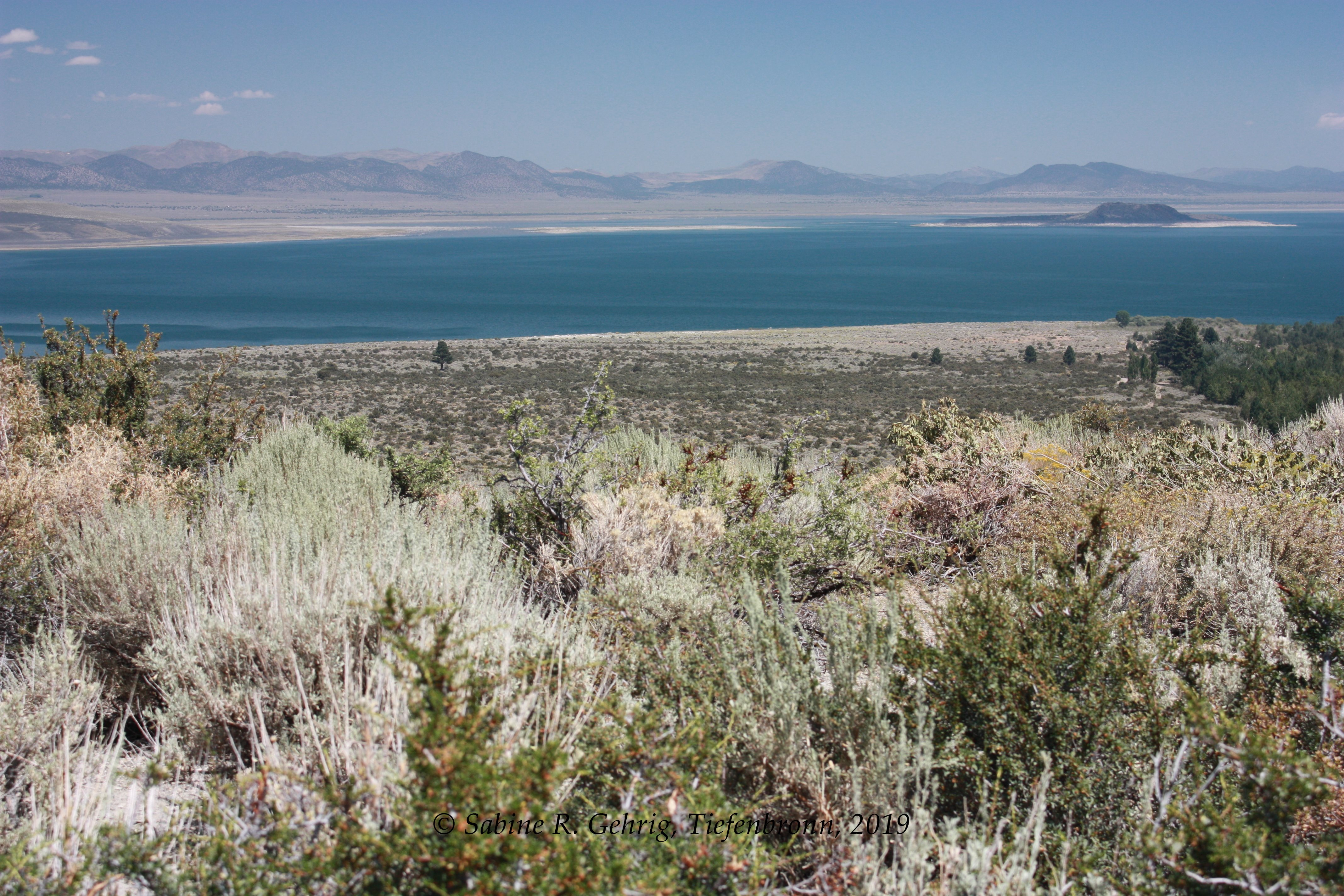 IMG_9748-US 395 South - VC Forest Service - Blick auf die Land Bridge - Negit Island