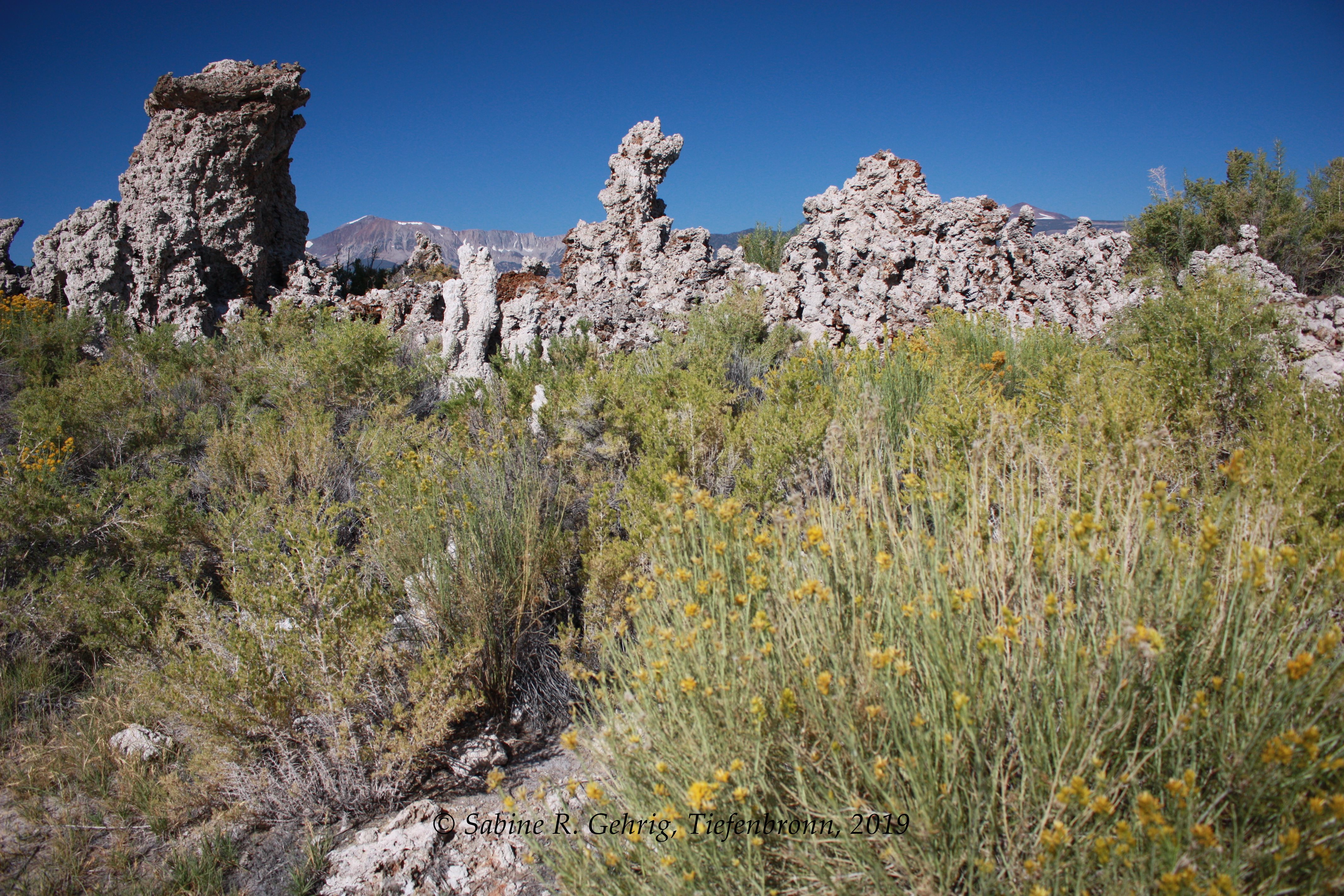 IMG_9801-Mono Lake - South Tufa Trail -