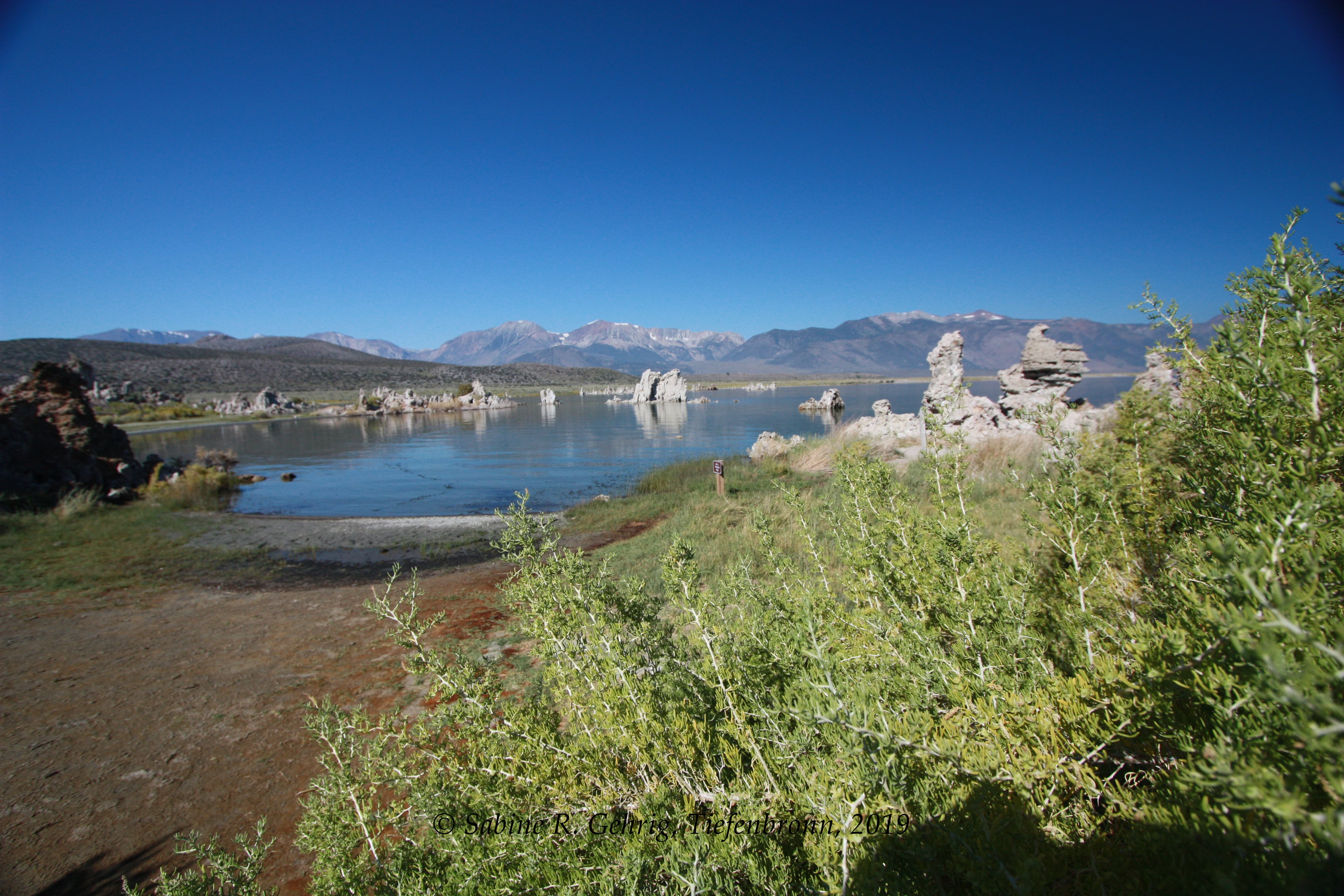 IMG_9806-Mono Lake - South Tufa Trail - Blick auf Range im Westen