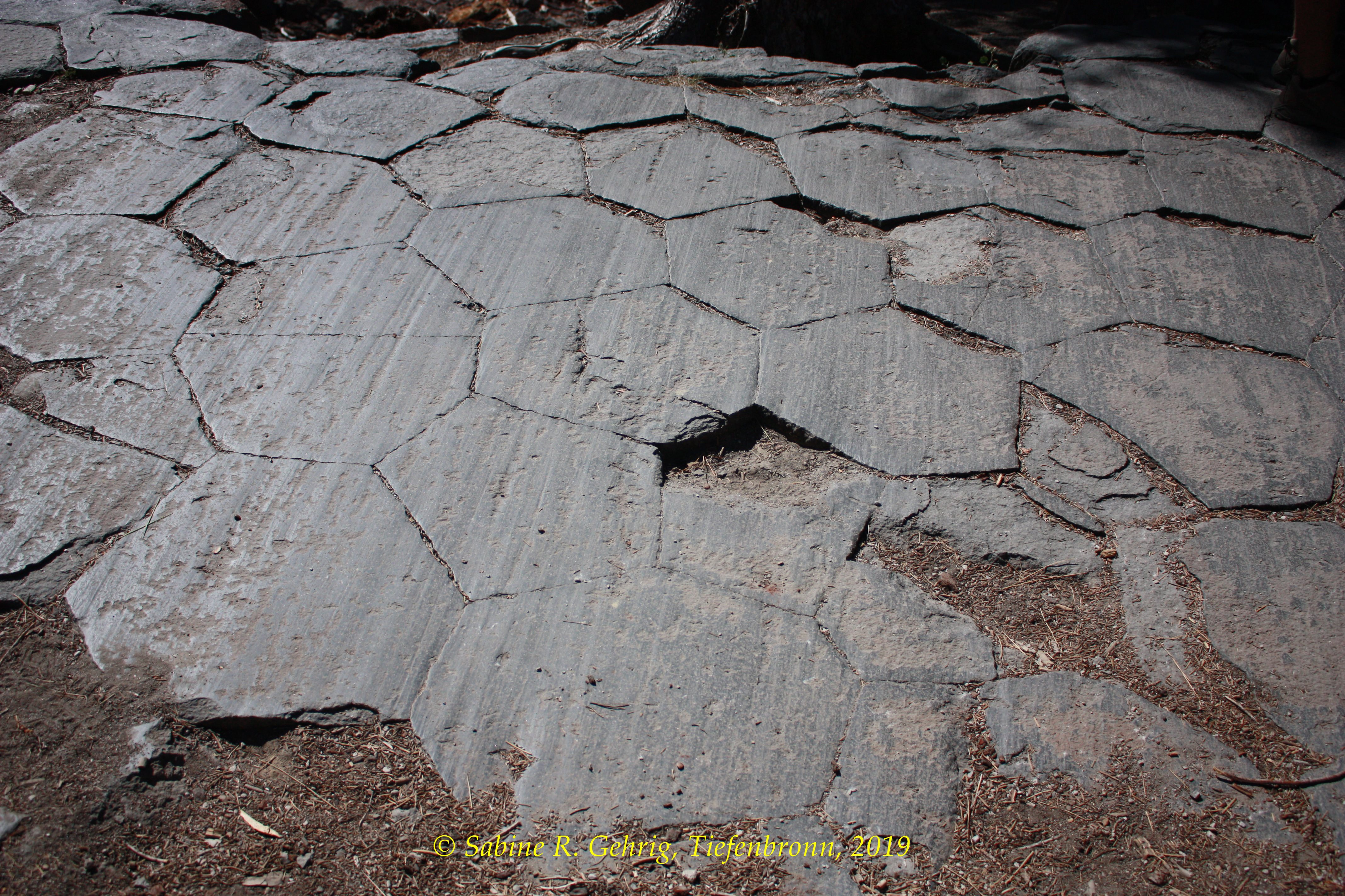 IMG_0023-Devils Postpile NM - Basaltsäulen von oben