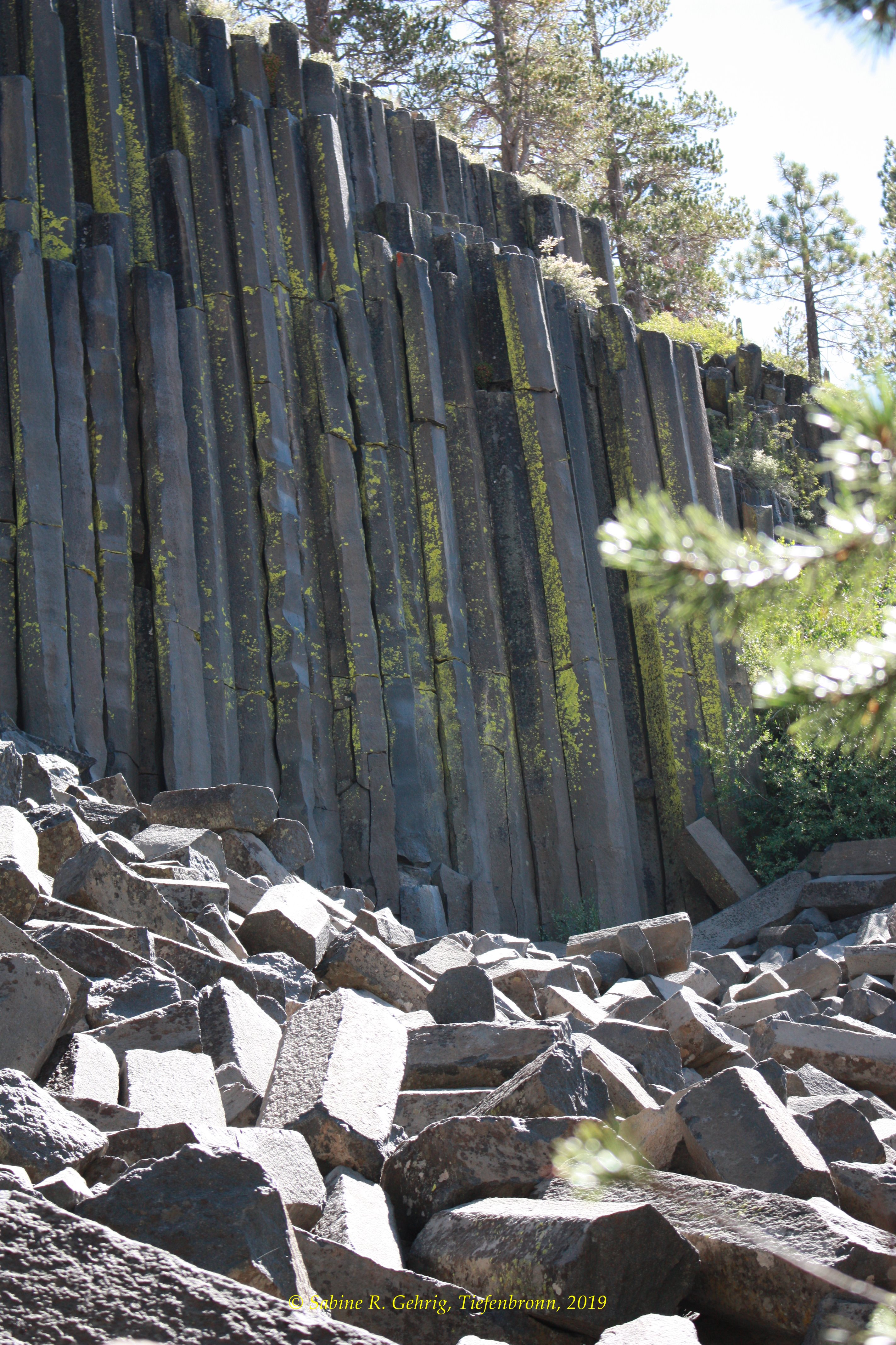 IMG_0036-Devils Postpile NM - Säulen Ausschnitt