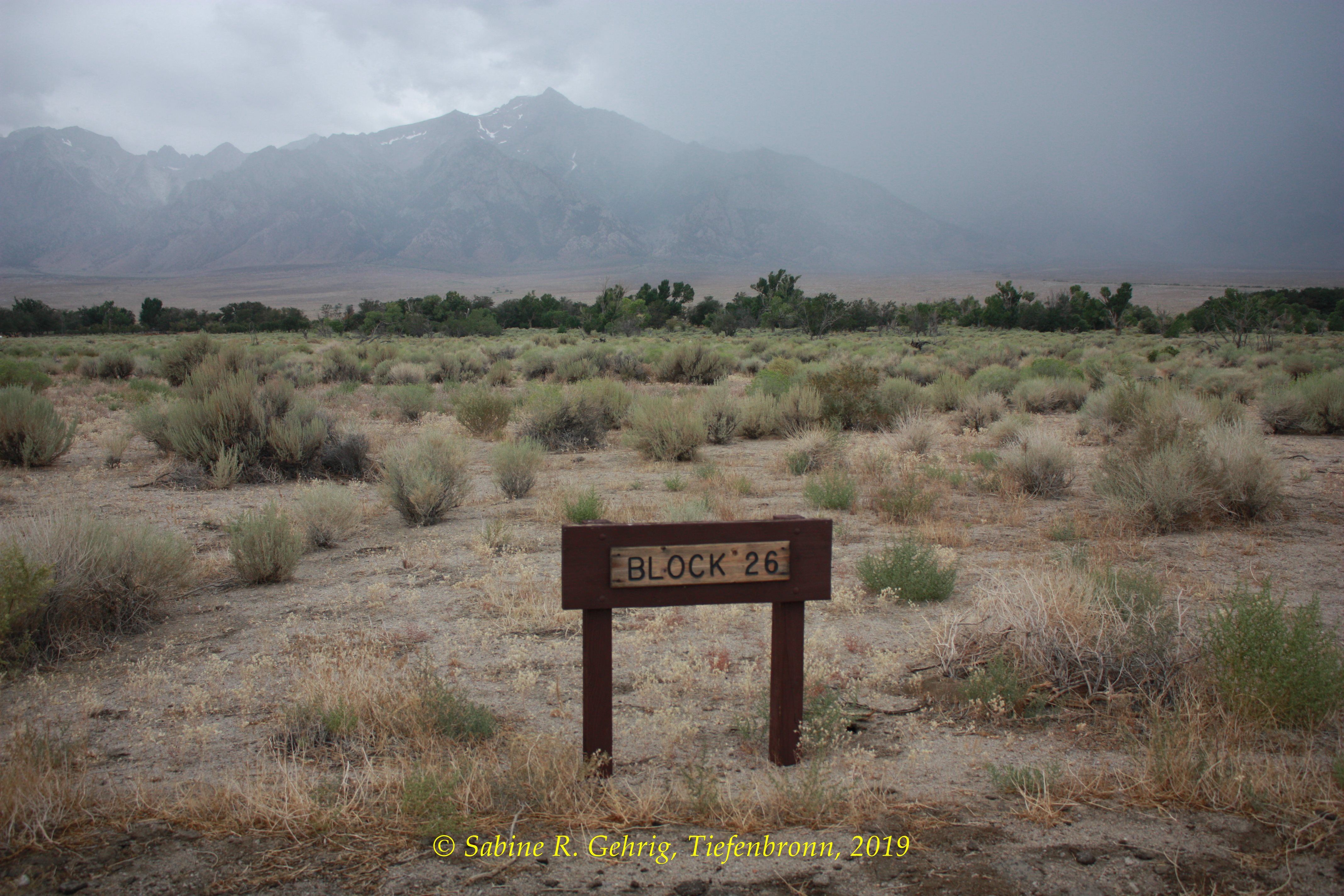 IMG_0294-Manzanar NHS - Driving Tour - Holzschild für Block 26