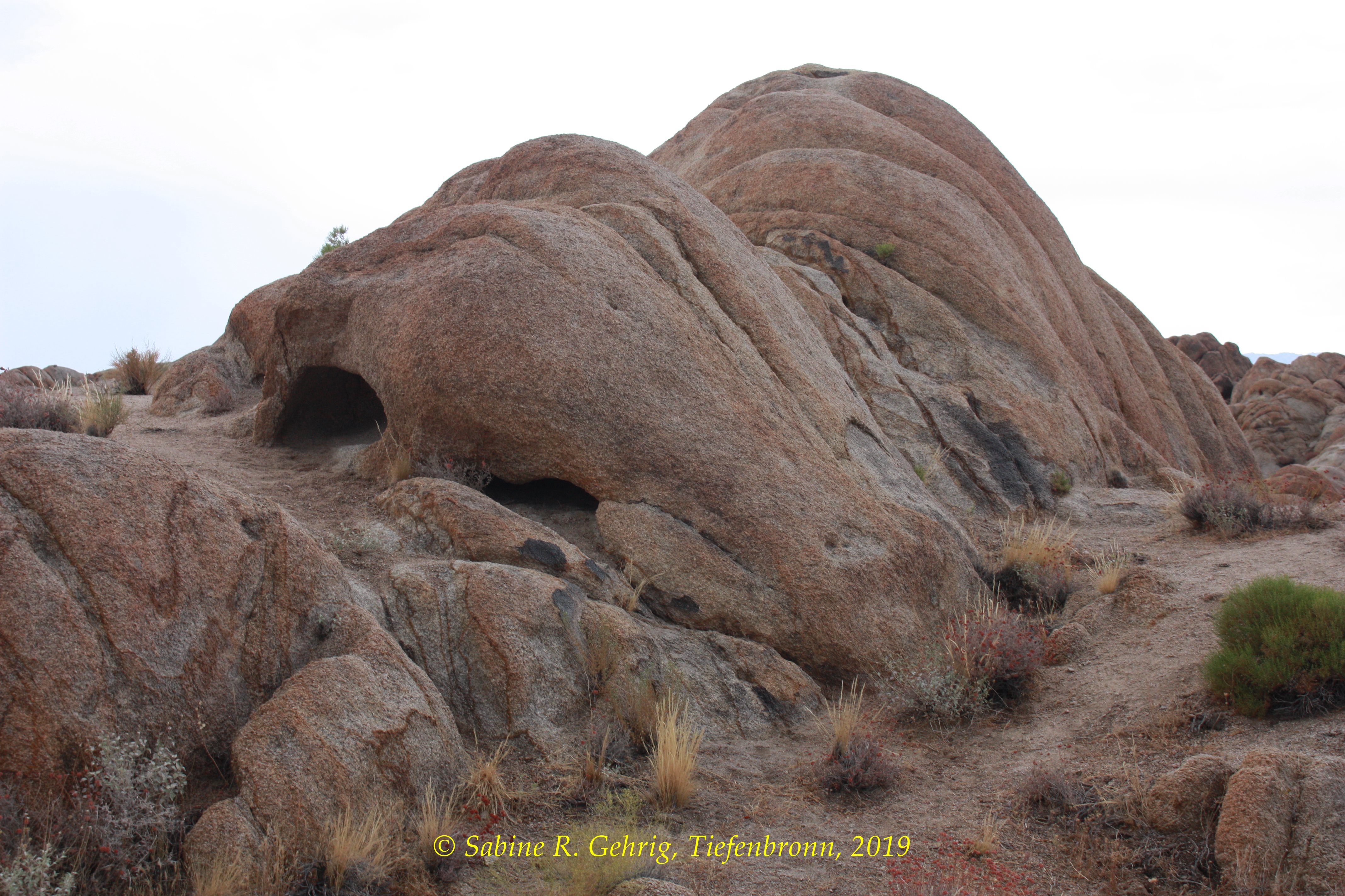 IMG_0343-Alabama Hills - Movie Road - Fels wie Walrossrücken