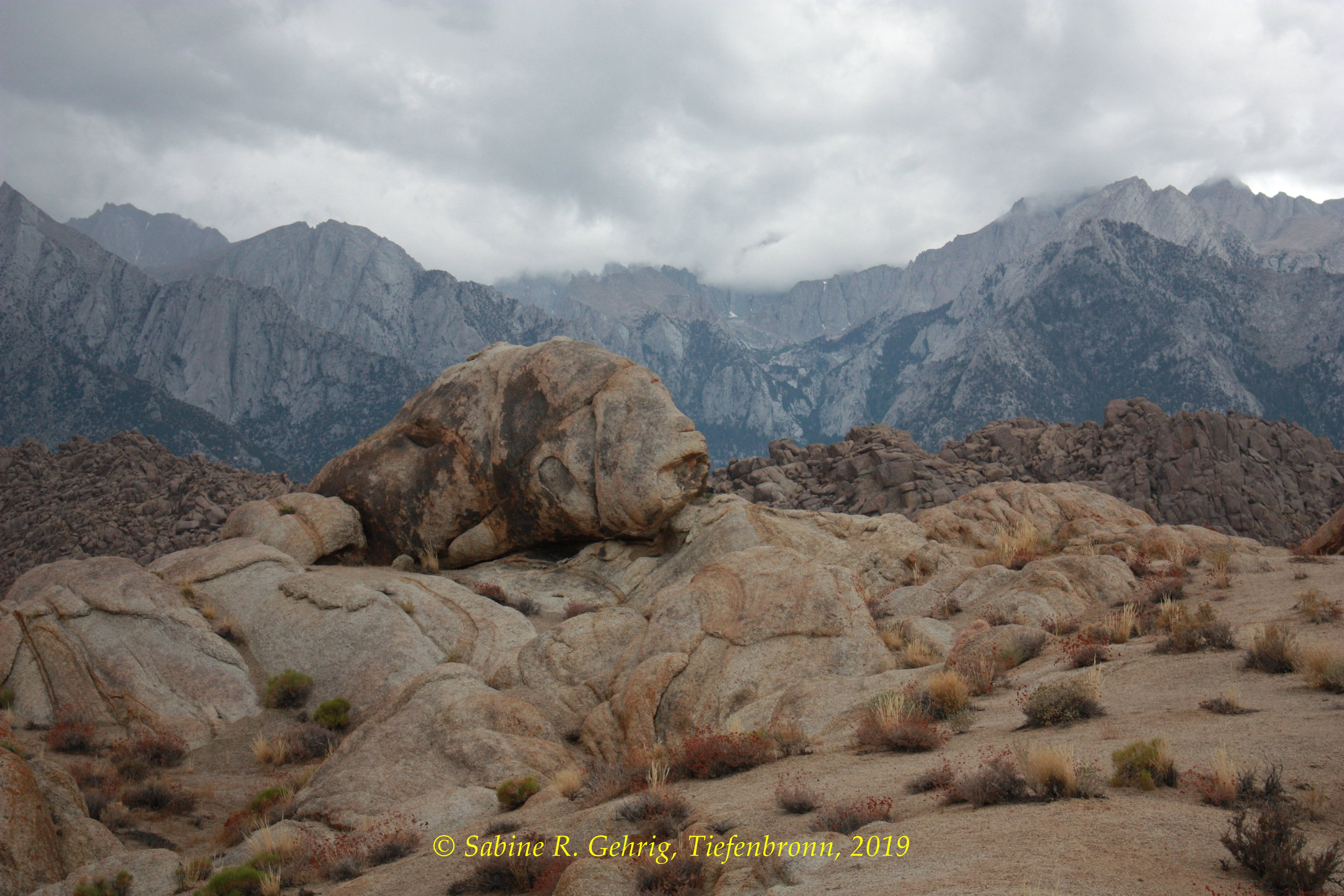 IMG_0370-Alabama Hills - Arch Trail - Fels wie Karpfen vor Kulisse der Sierra
