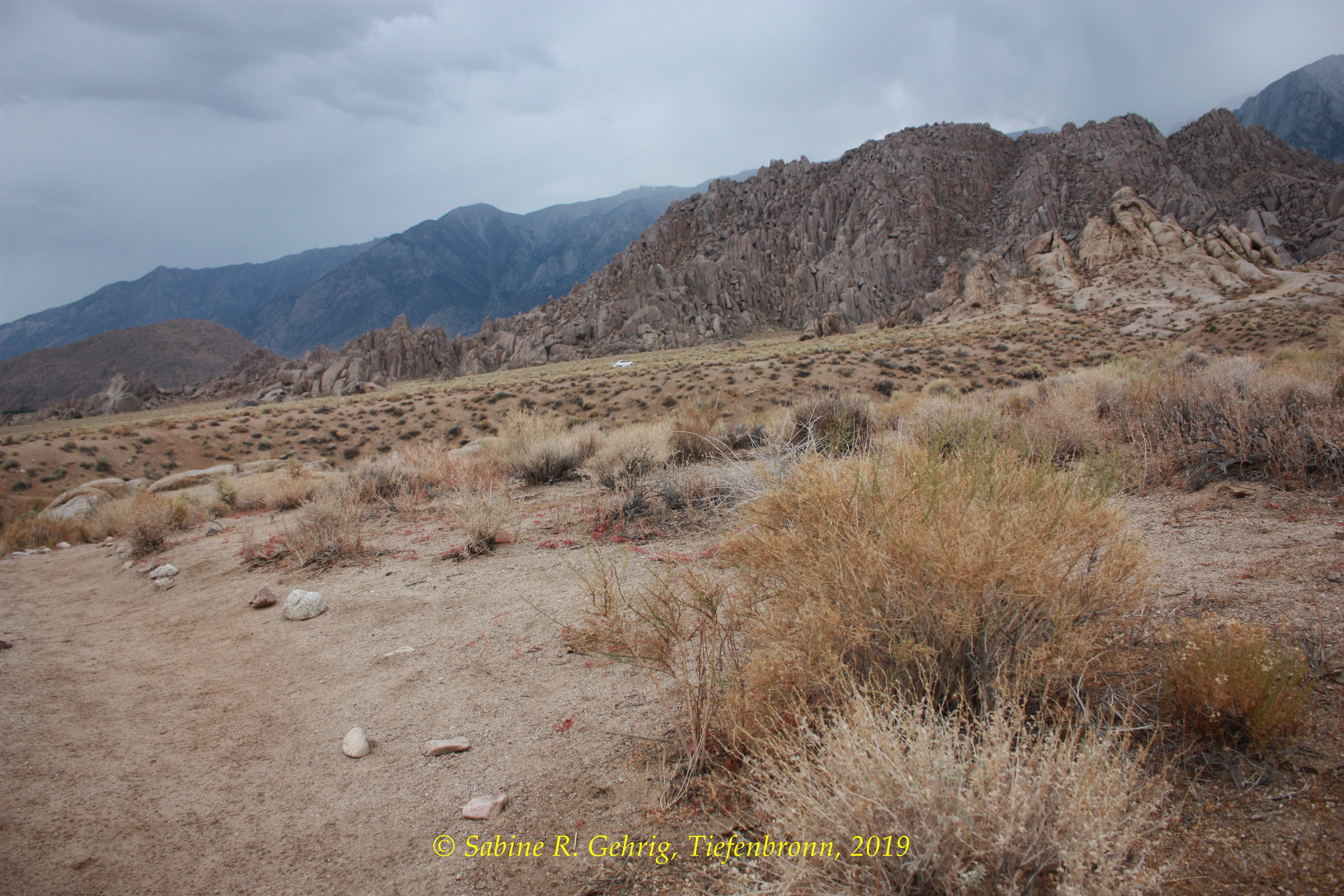 IMG_0384-Alabama Hills - Arch Trail - Blick über Ebene zur Sierra