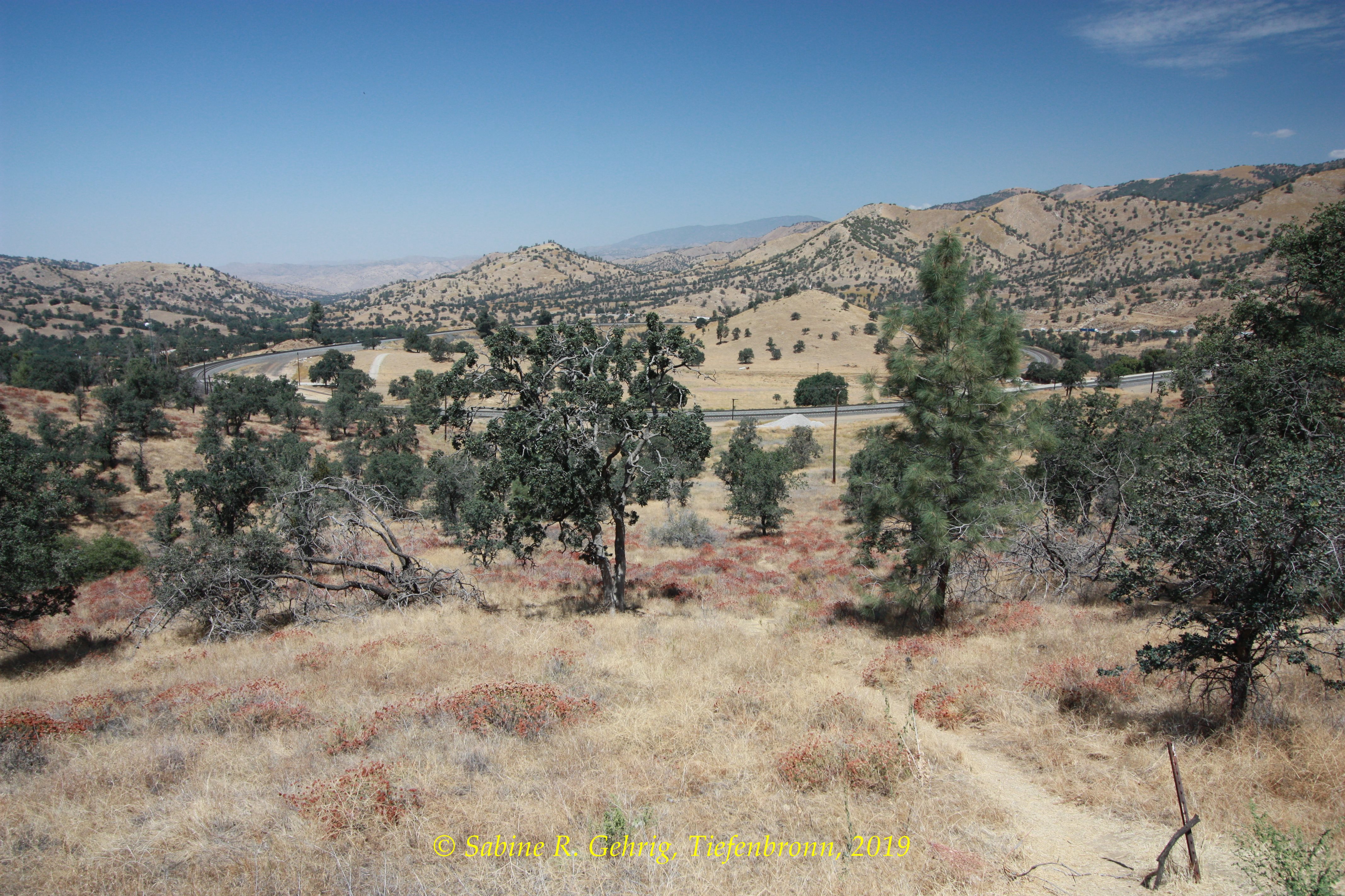 IMG_0481-Tehachapi Loop ohne Zug