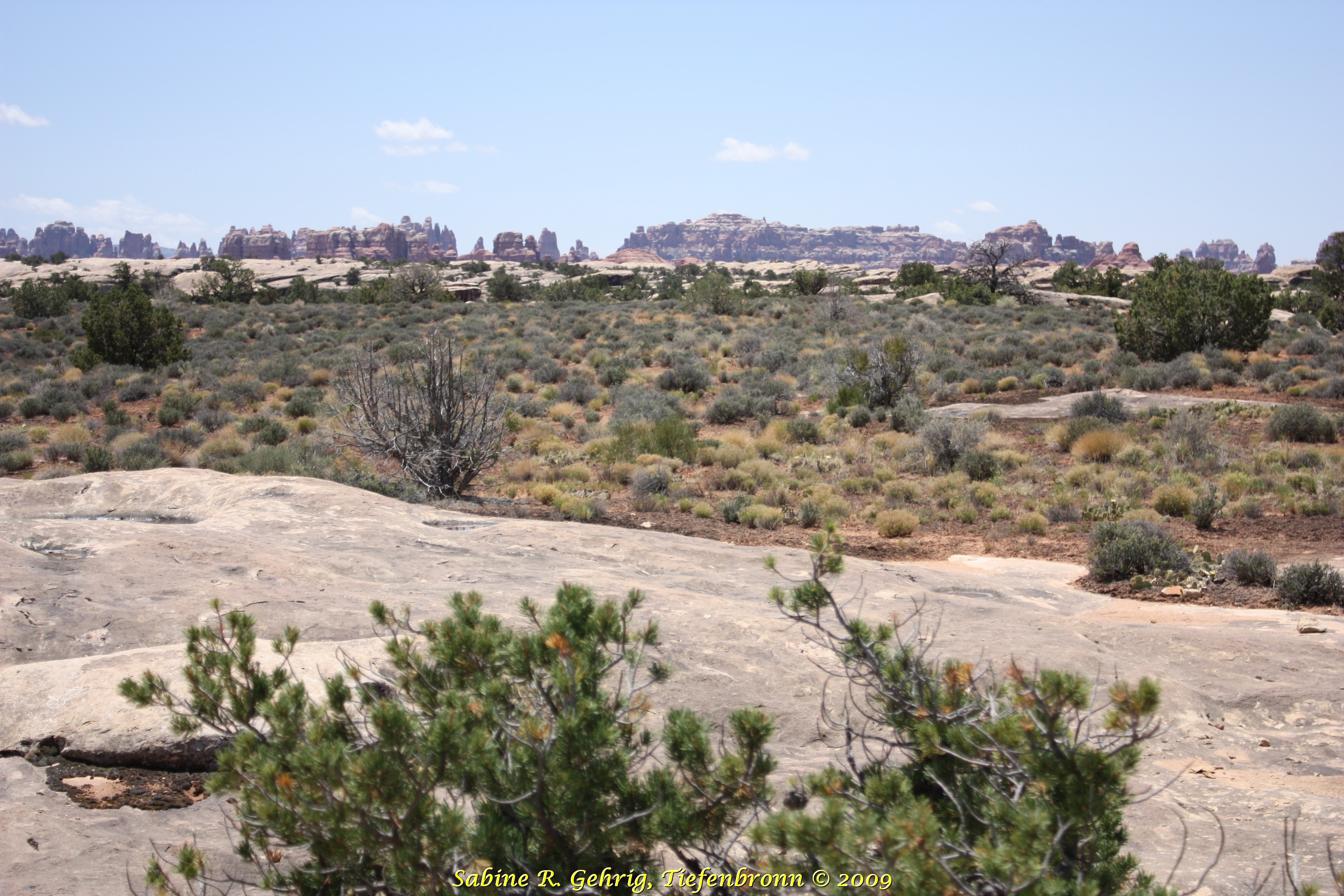 IMG_0292 - Canyonlands NP The Needles - Picknick - Weitblick