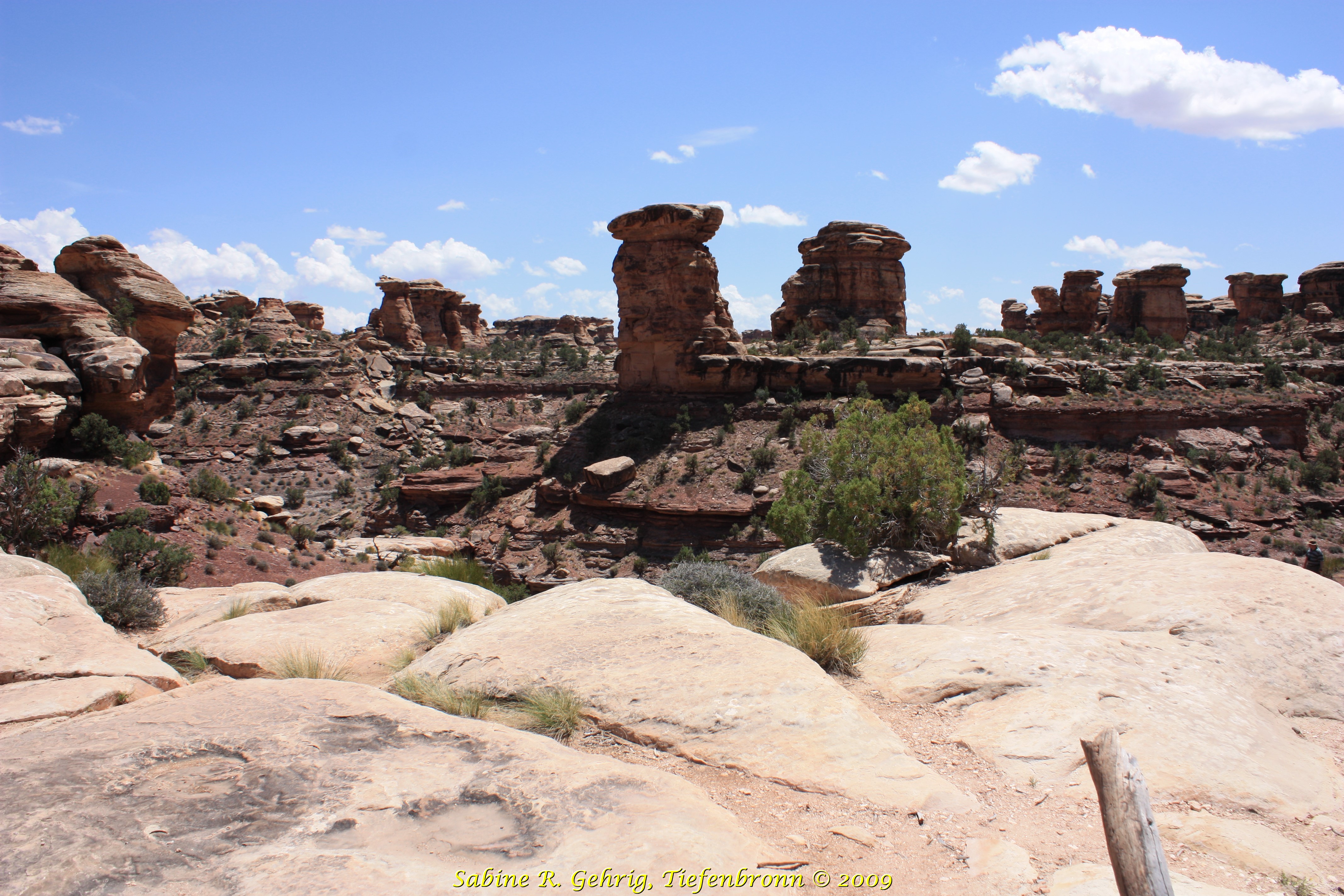 IMG_0302 - Canyonlands NP The Needles - Big Spring Canyon Overlook