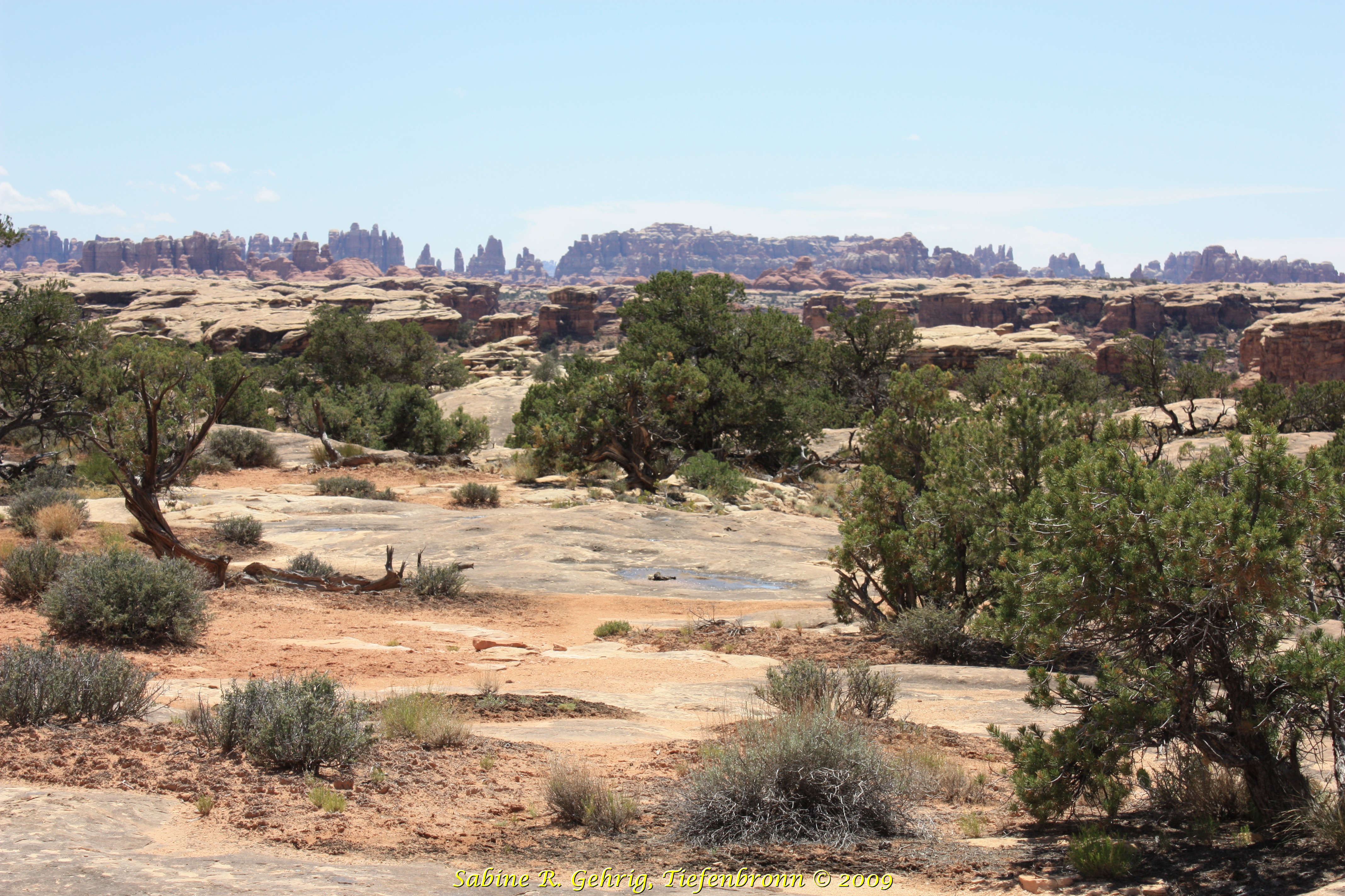 IMG_0304 - Canyonlands NP The Needles - Pothole Point - Blick auf Needles