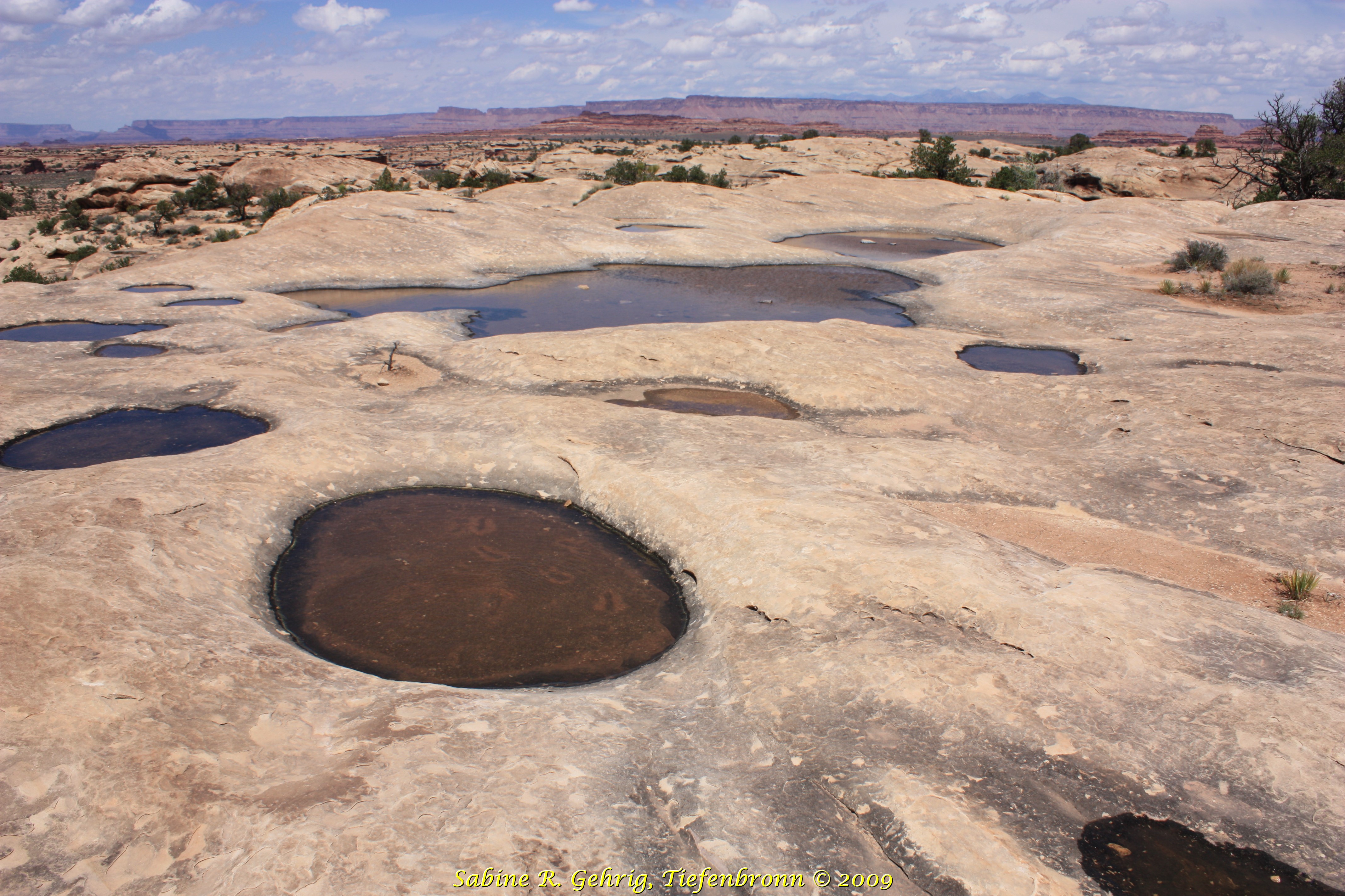 IMG_0309 - Canyonlands NP The Needles - Pothole Point - Potholes