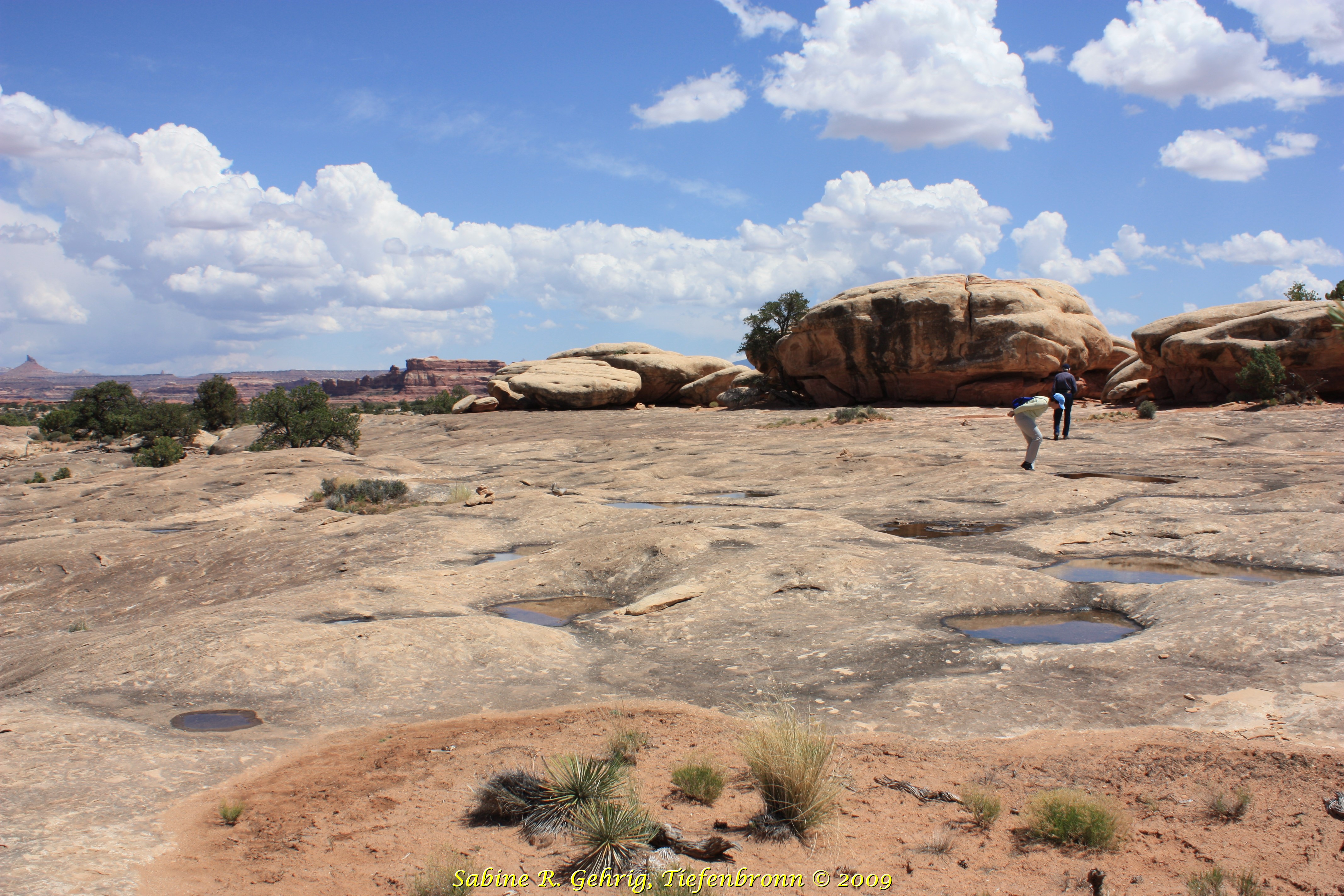 IMG_0311 - Canyonlands NP The Needles - Pothole Point - Ma wird fündig