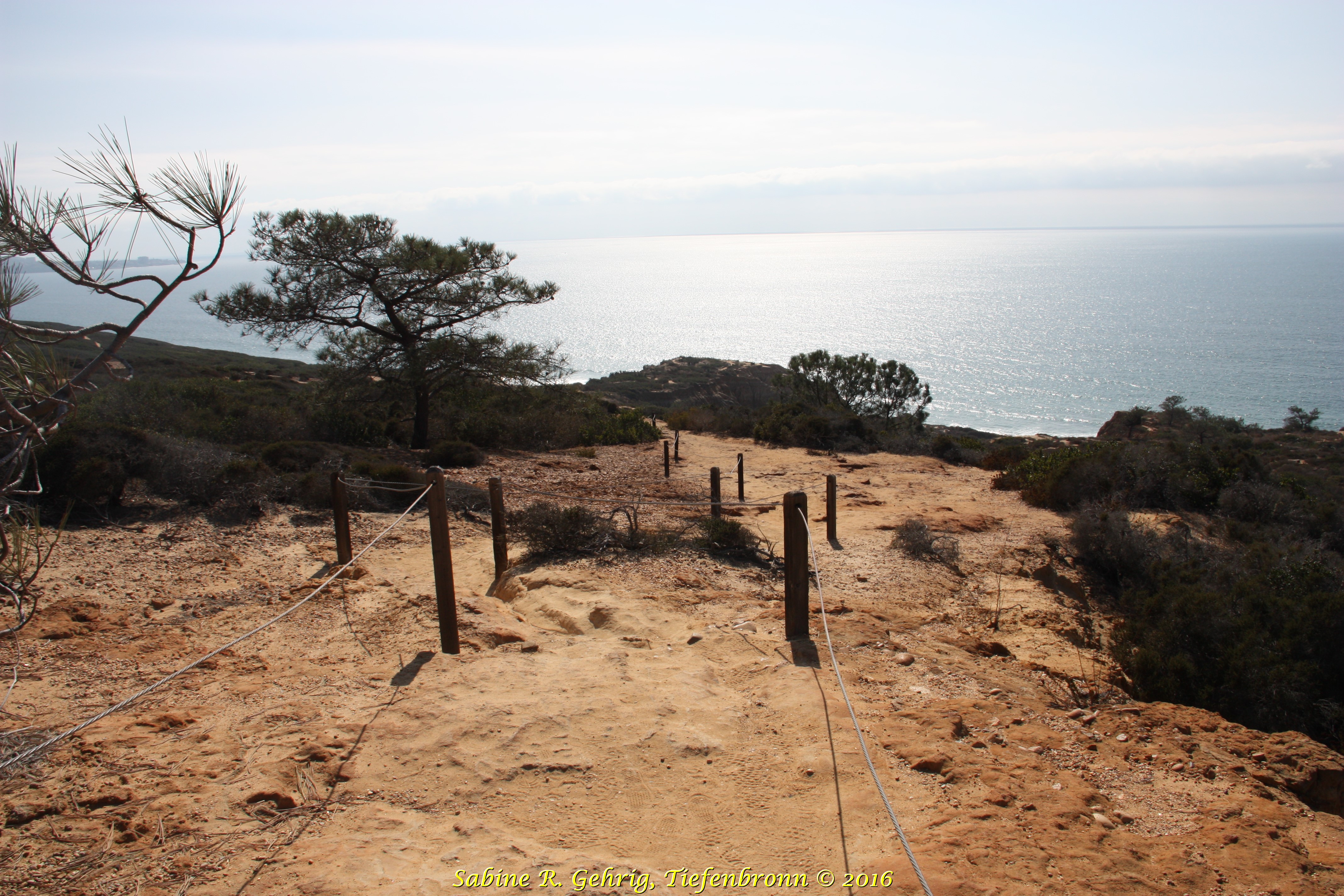 IMG_6681 - Torrey Pines SPres. - Razor Point Trail - Wanderweg