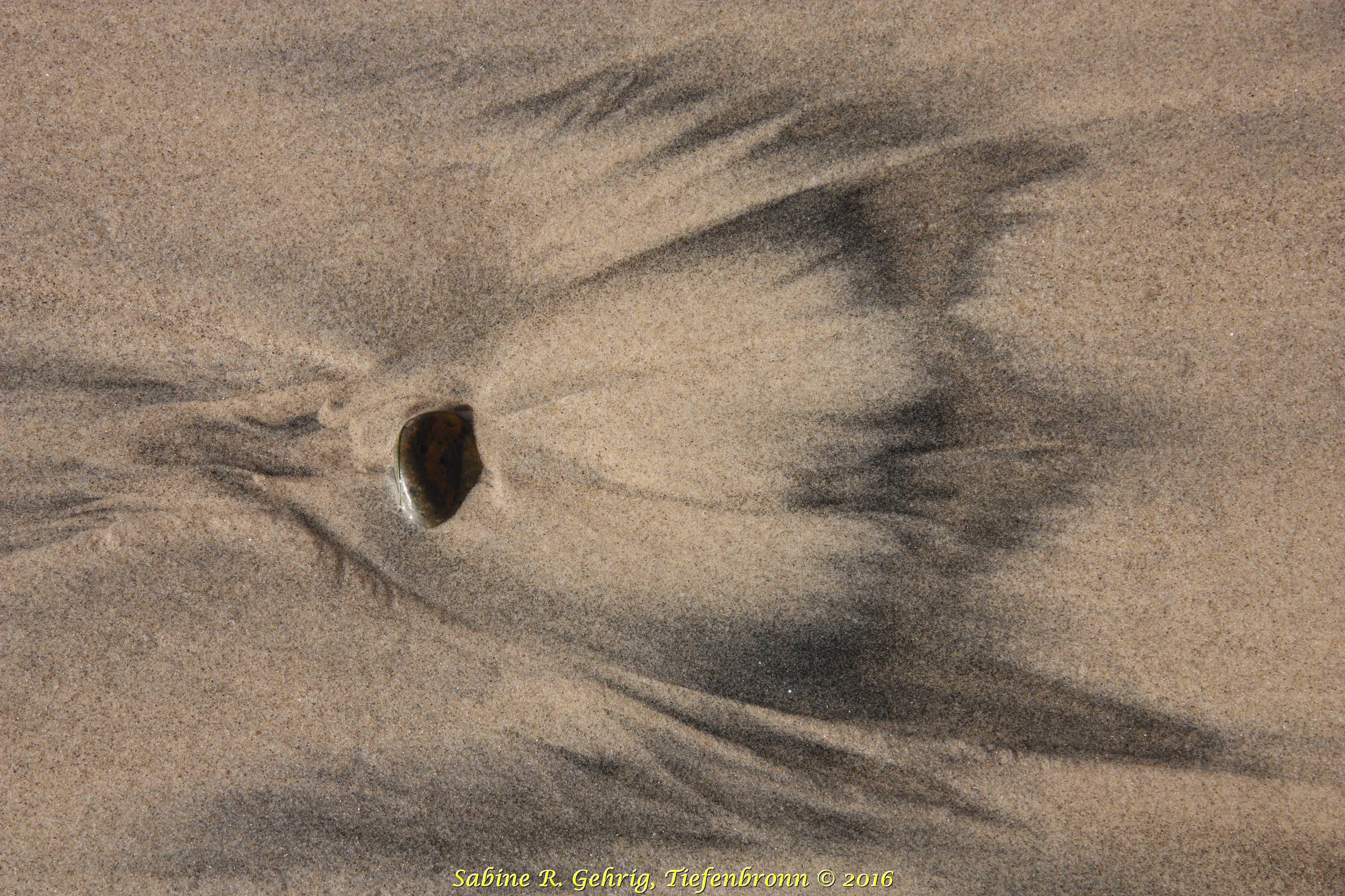 IMG_6868 - Torrey Pines SPres. Strand - Sandbild mit Stein schwarz
