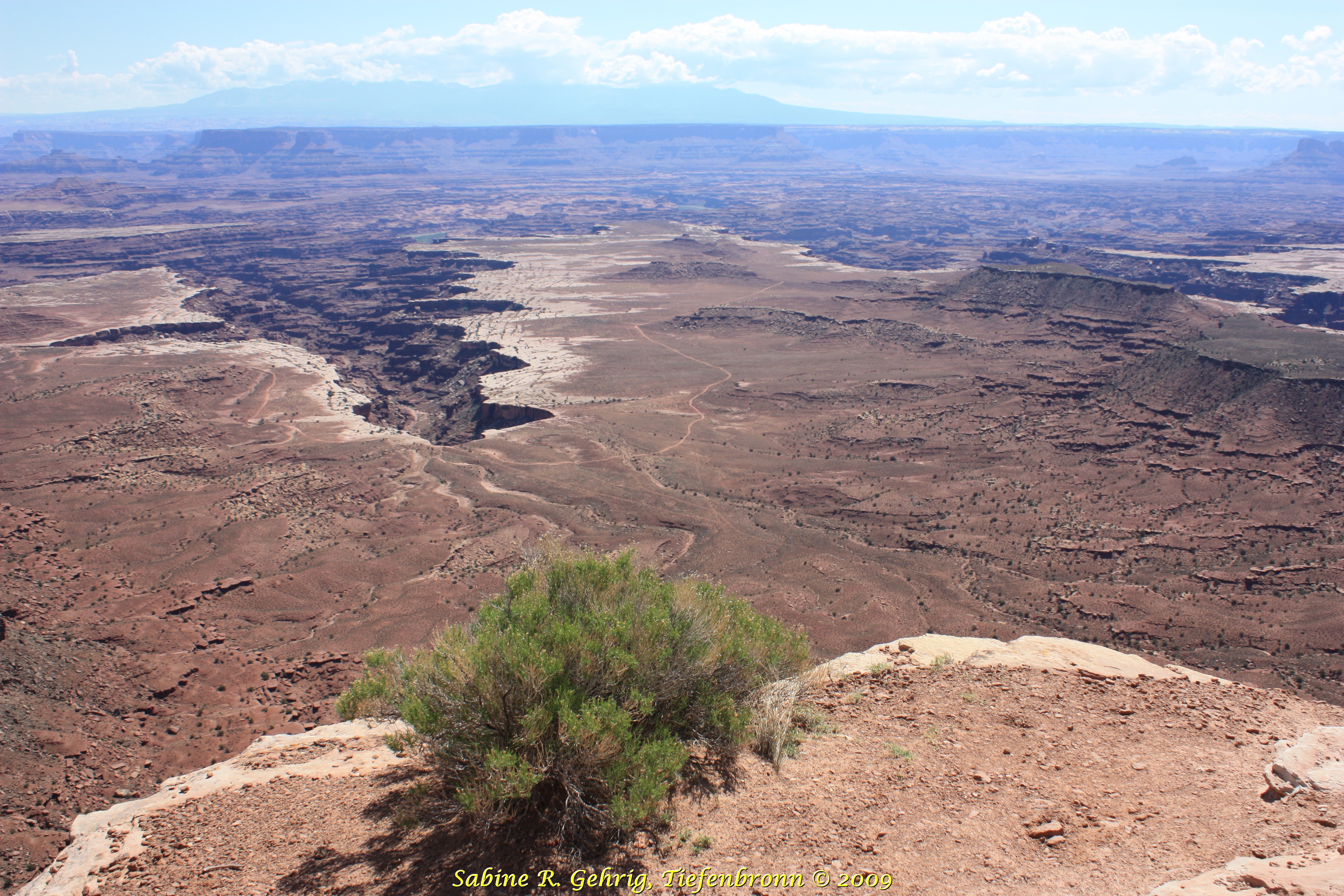 IMG_0479 - Canyonlands NP - Island Sky - Buck Canyon Overlook