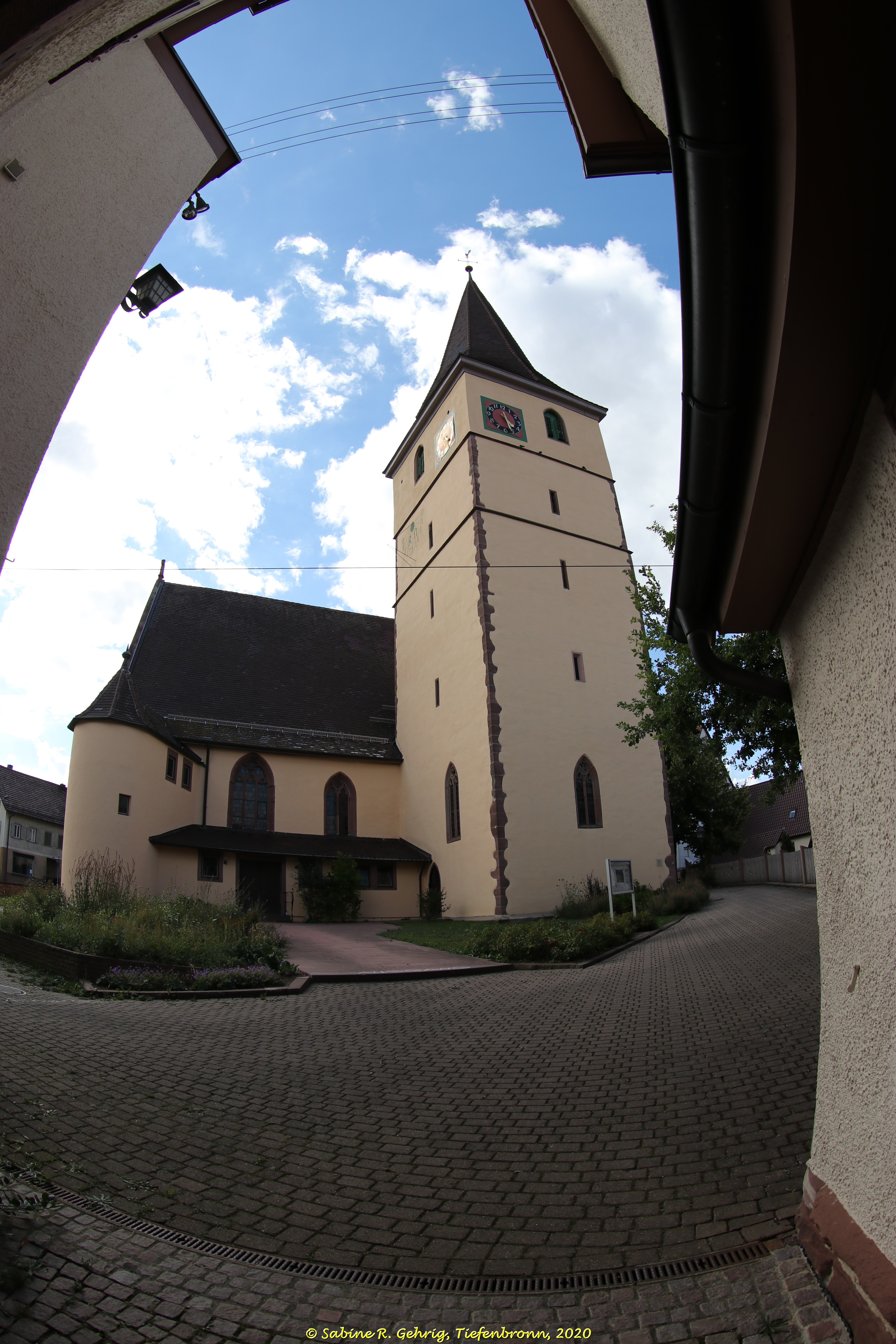 IMG_4176